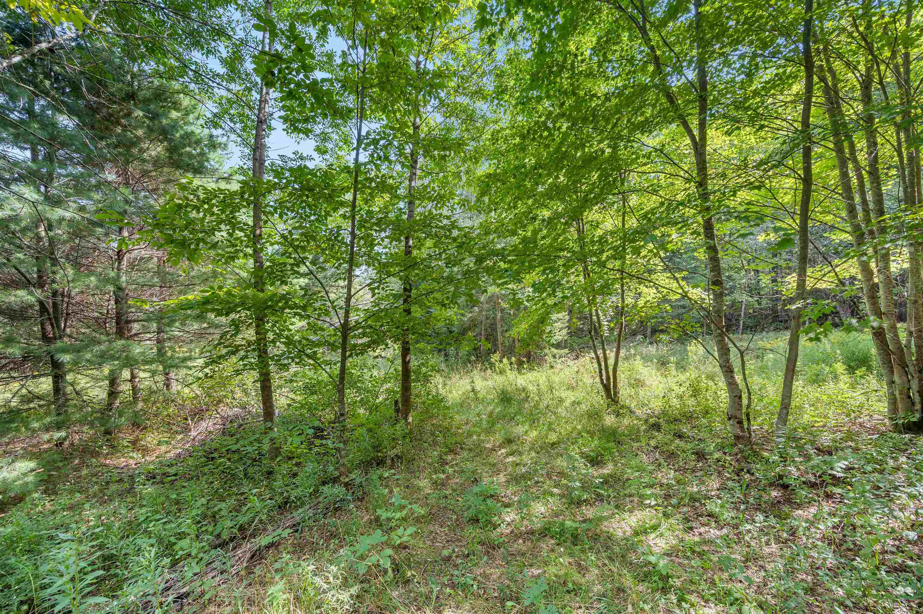 6&8 Barnett Road Property Photo 21
