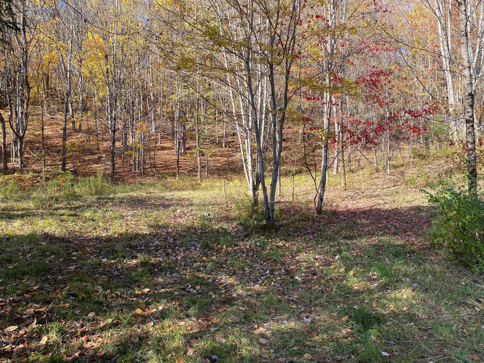 6&8 Barnett Road Property Photo 23