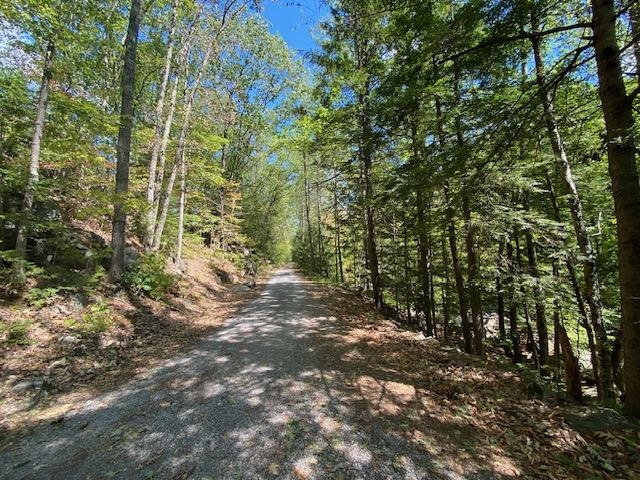 86 Route 103 Property Photo 18