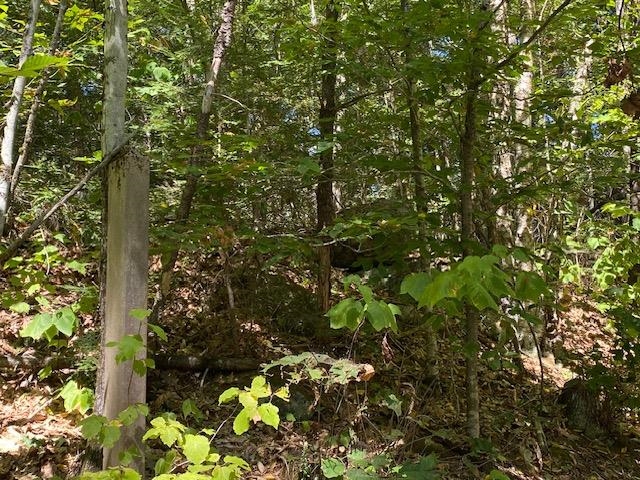 86 Route 103 Property Photo 19
