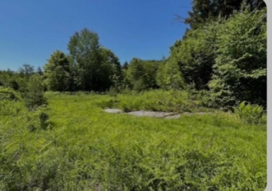 0 Alder Plains Road Property Photo 1