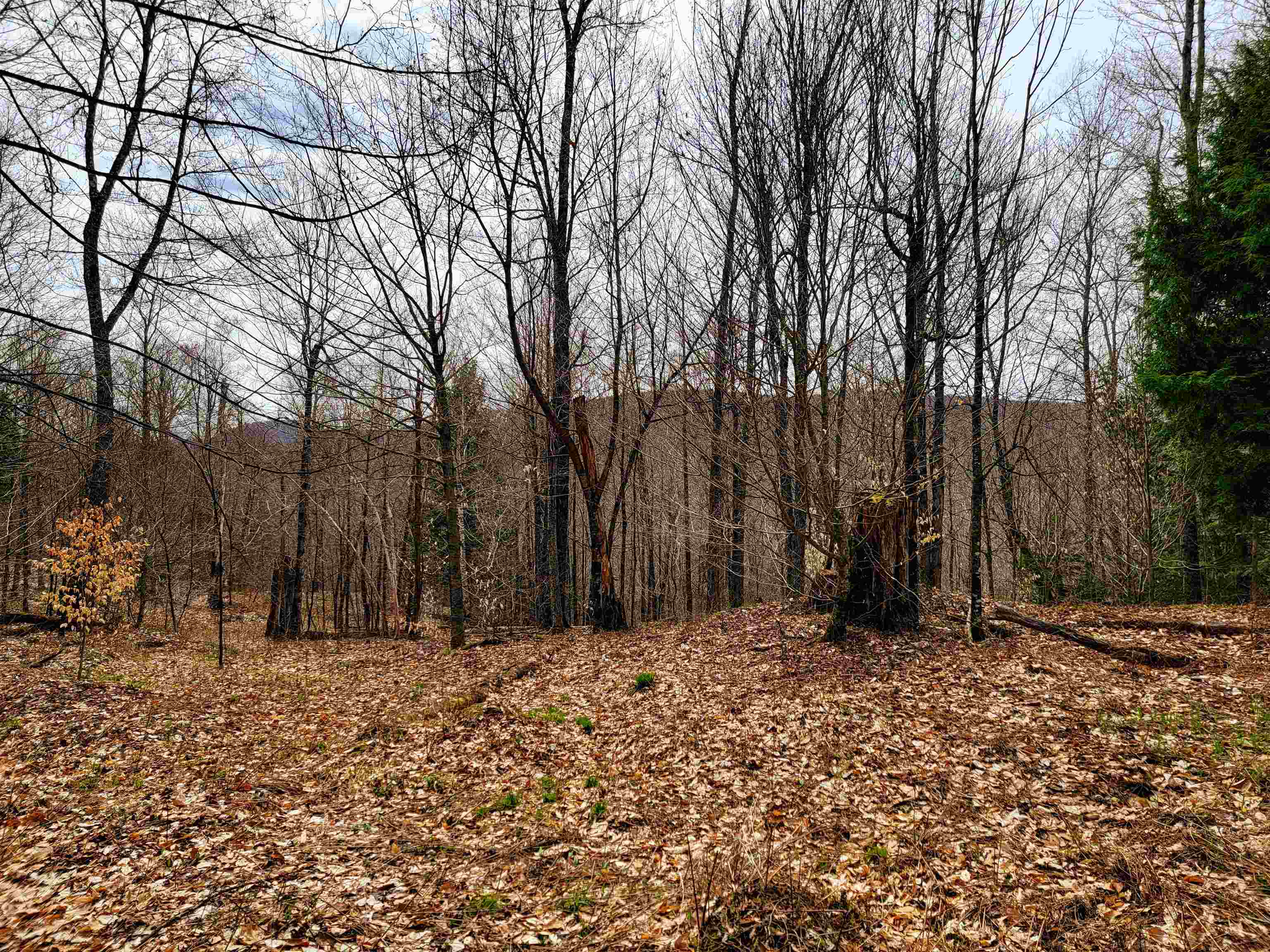 211 Poker Hill Road Property Photo 44