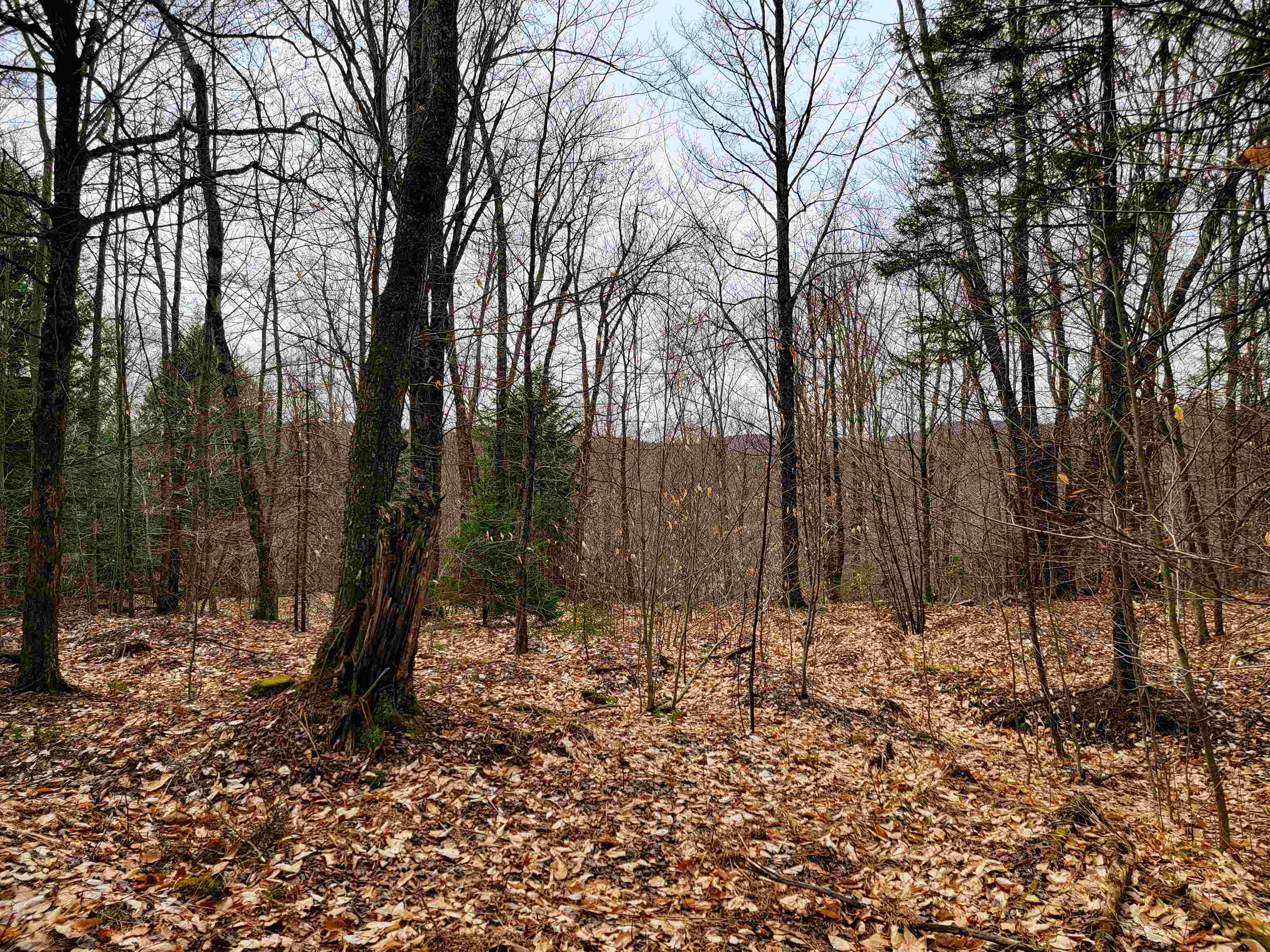 211 Poker Hill Road Property Photo 45