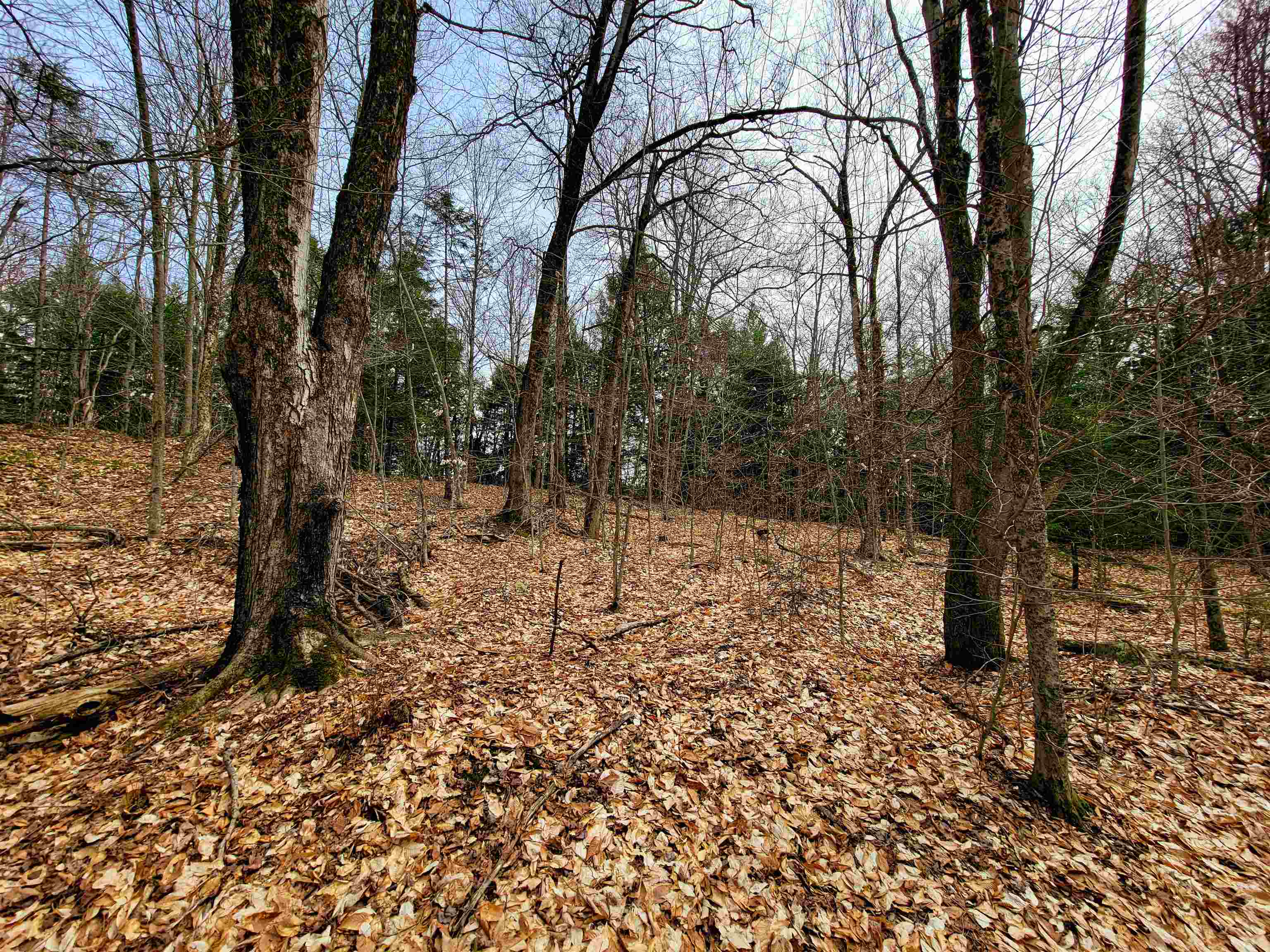 211 Poker Hill Road Property Photo 46