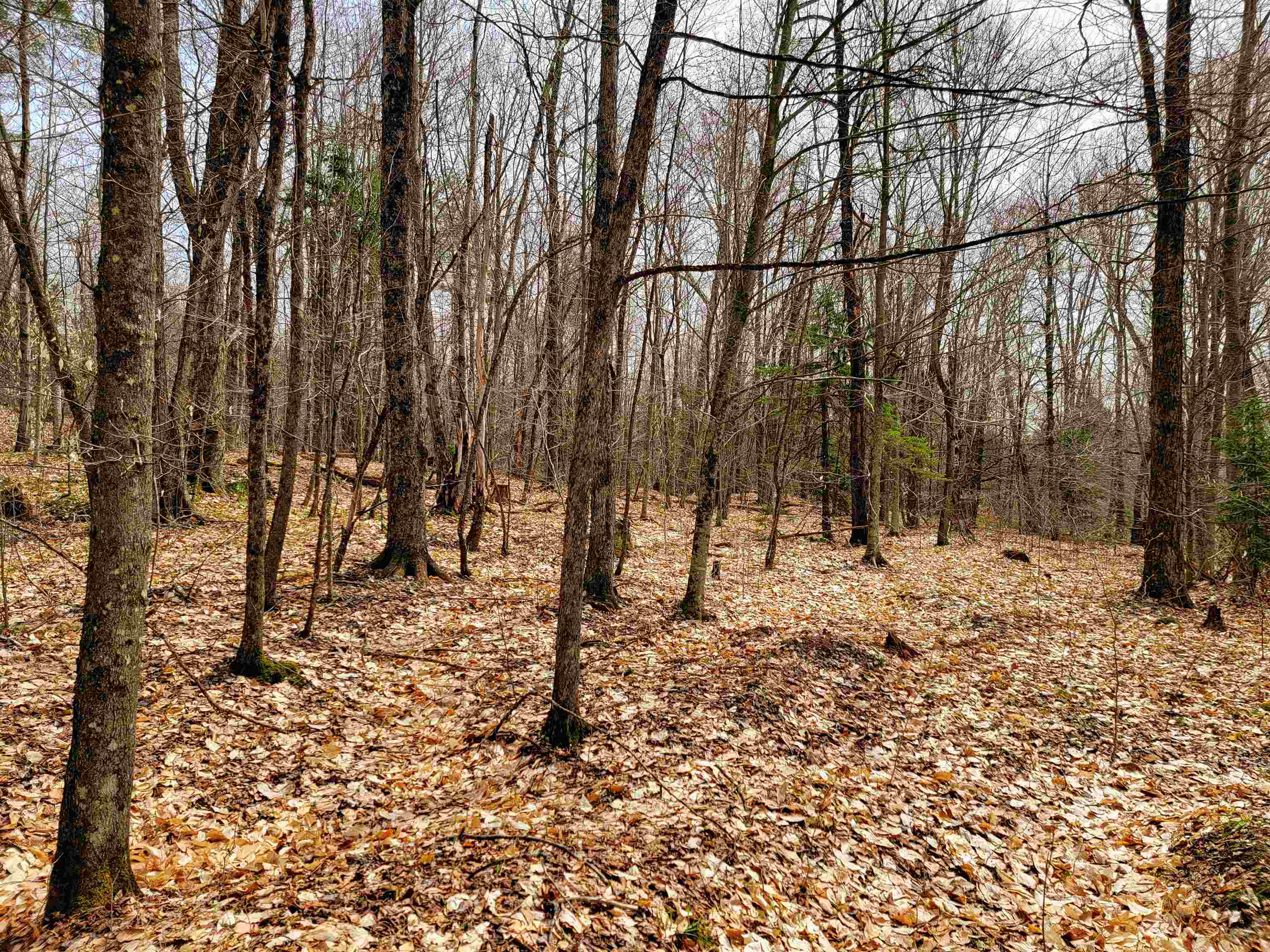 211 Poker Hill Road Property Photo 49