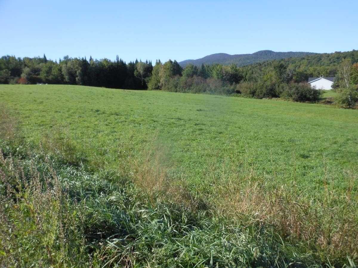 0000 Vt. Route 12 Property Photo 3
