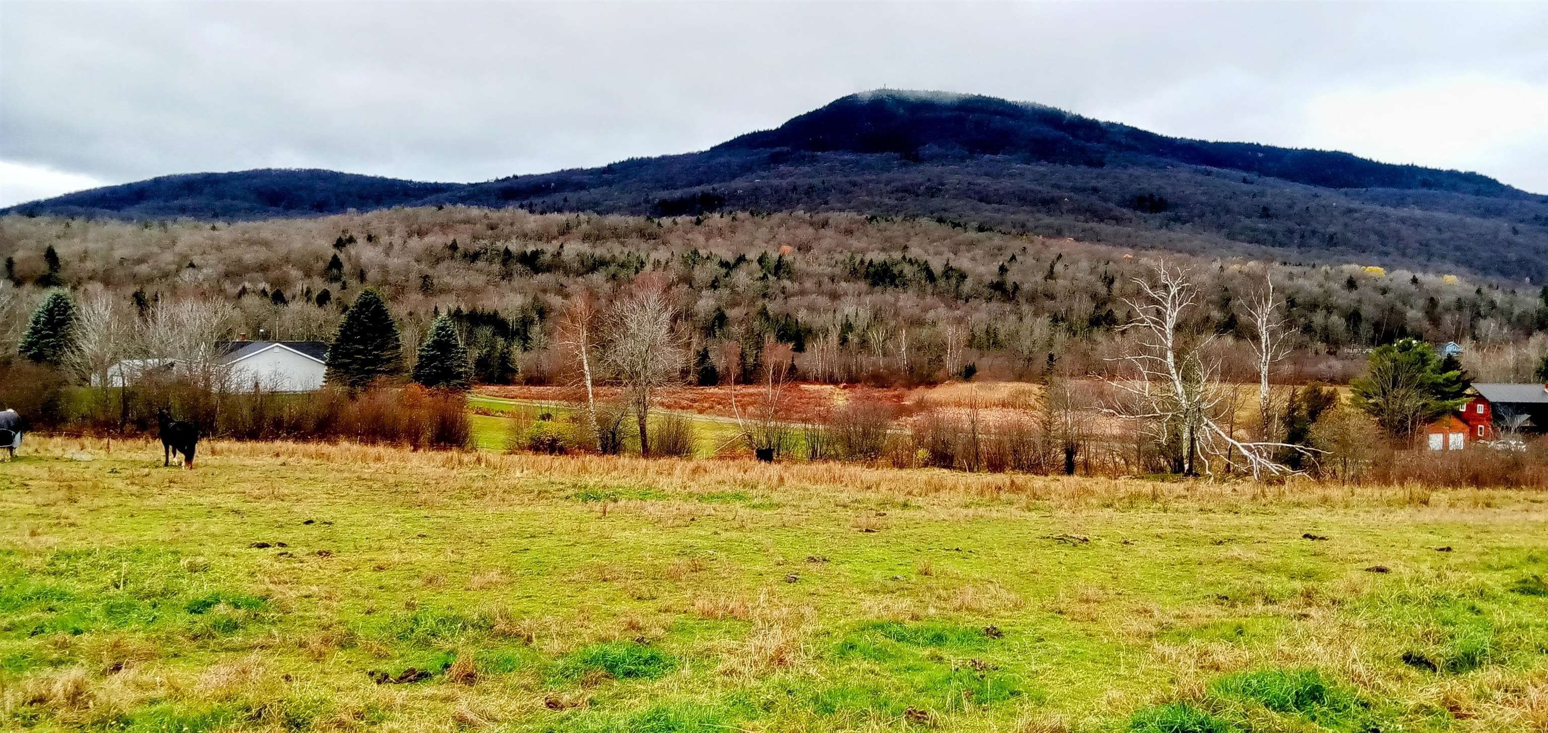 0000 Vt. Route 12 Property Photo 5