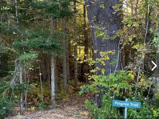 192 Pingree Park Lane Property Photo 21