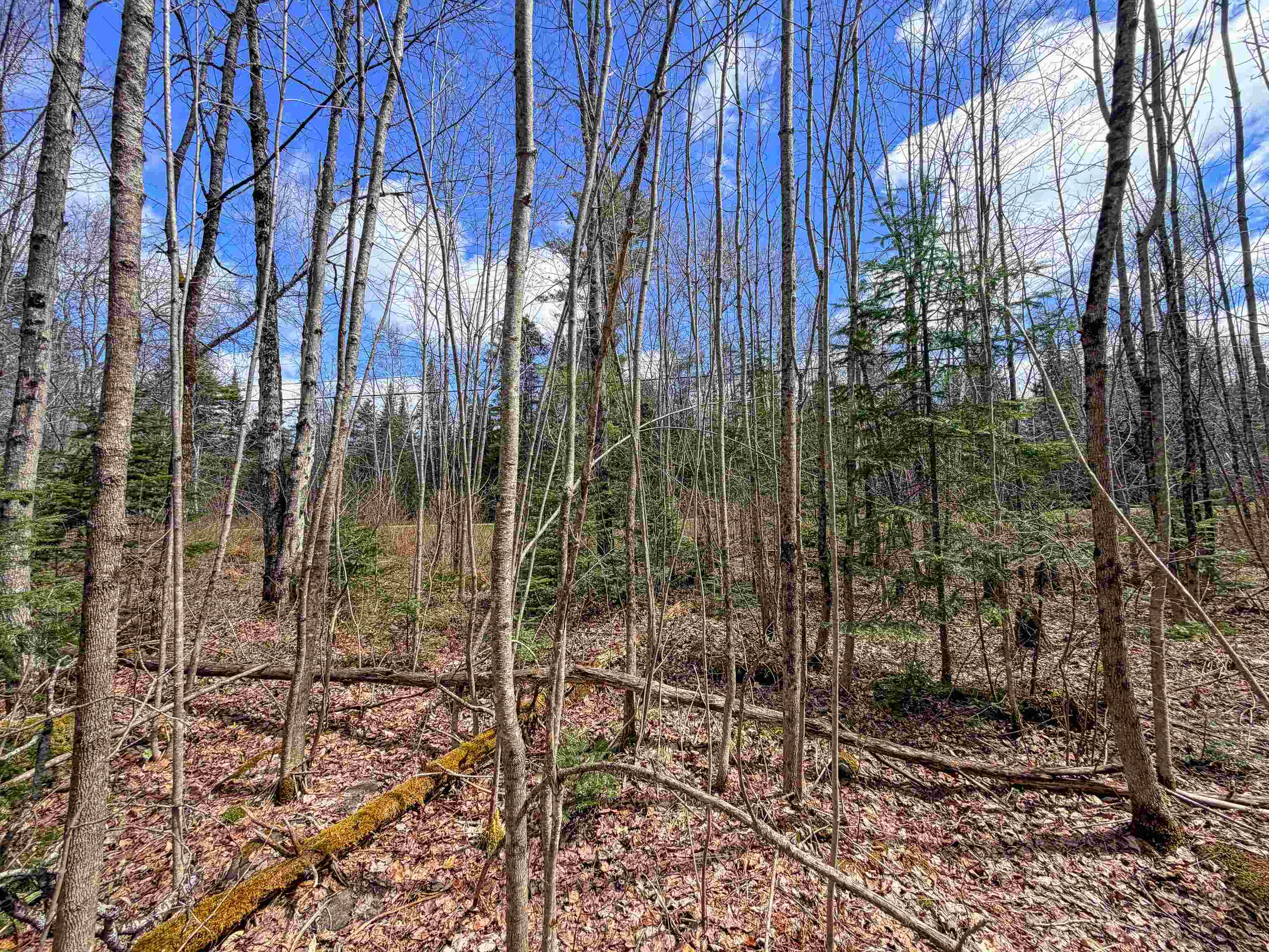 Lot 4 Oregon Road Property Photo 1