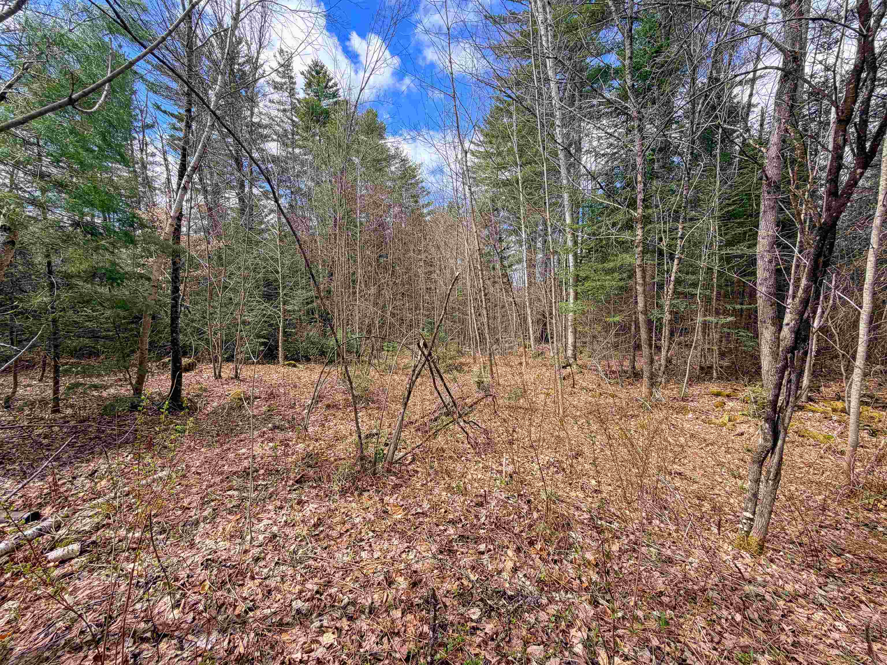 538 Oregon Road Property Photo 1