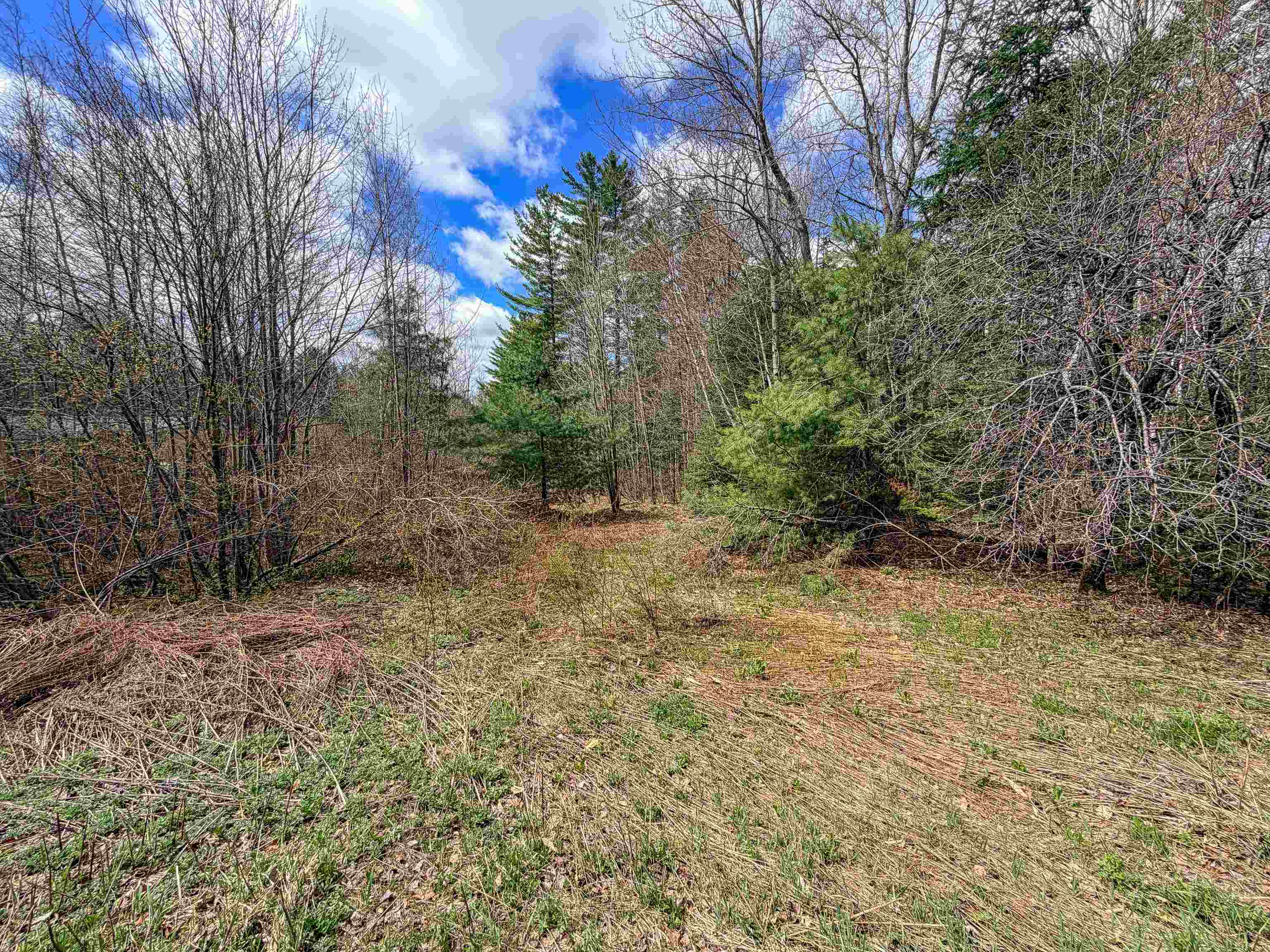538 Oregon Road Property Photo 3