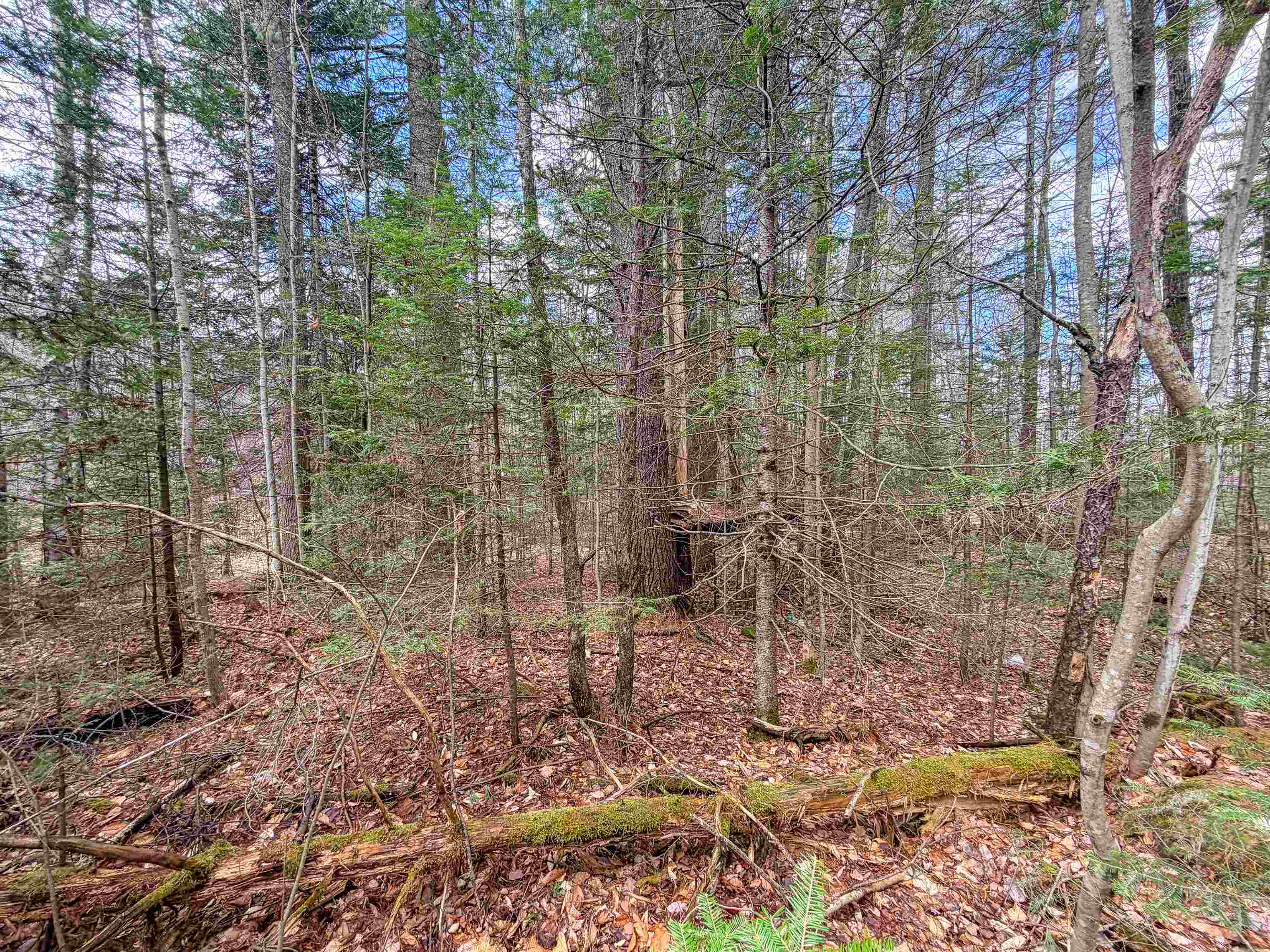 538 Oregon Road Property Photo 7