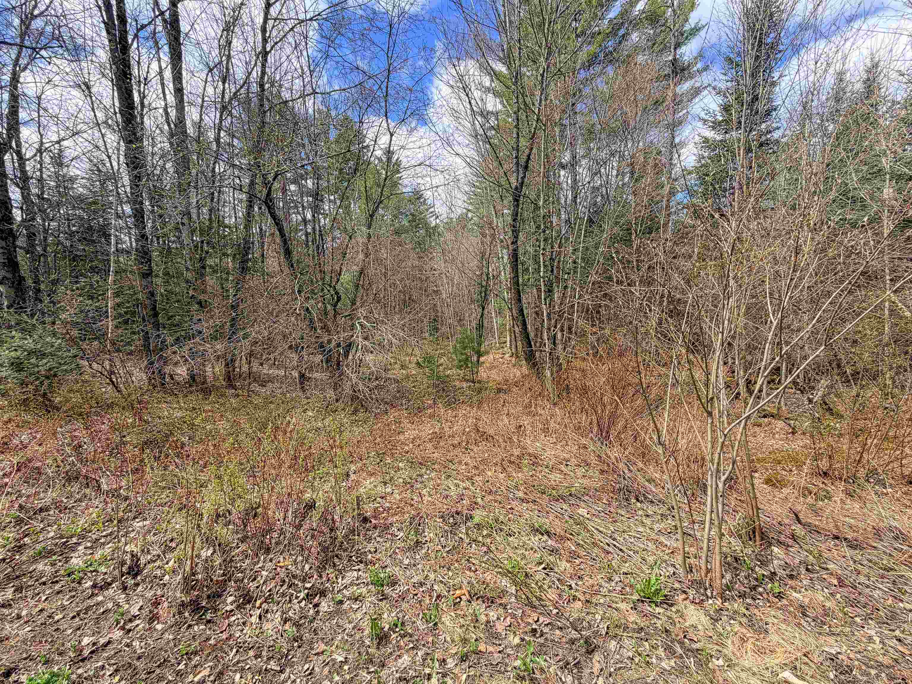 538 Oregon Road Property Photo 8