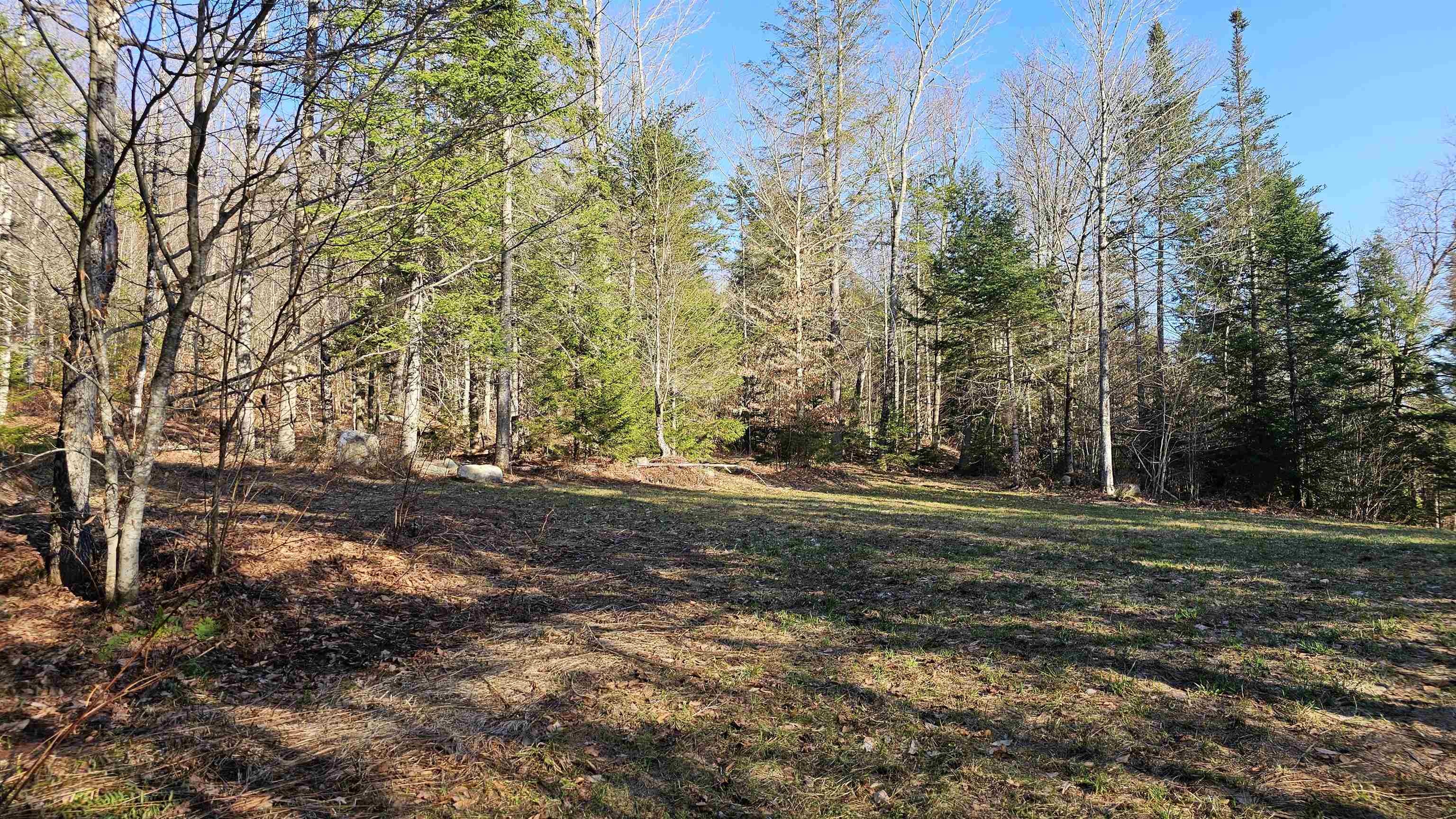 512 Woodbury Mountain Road Property Photo 39