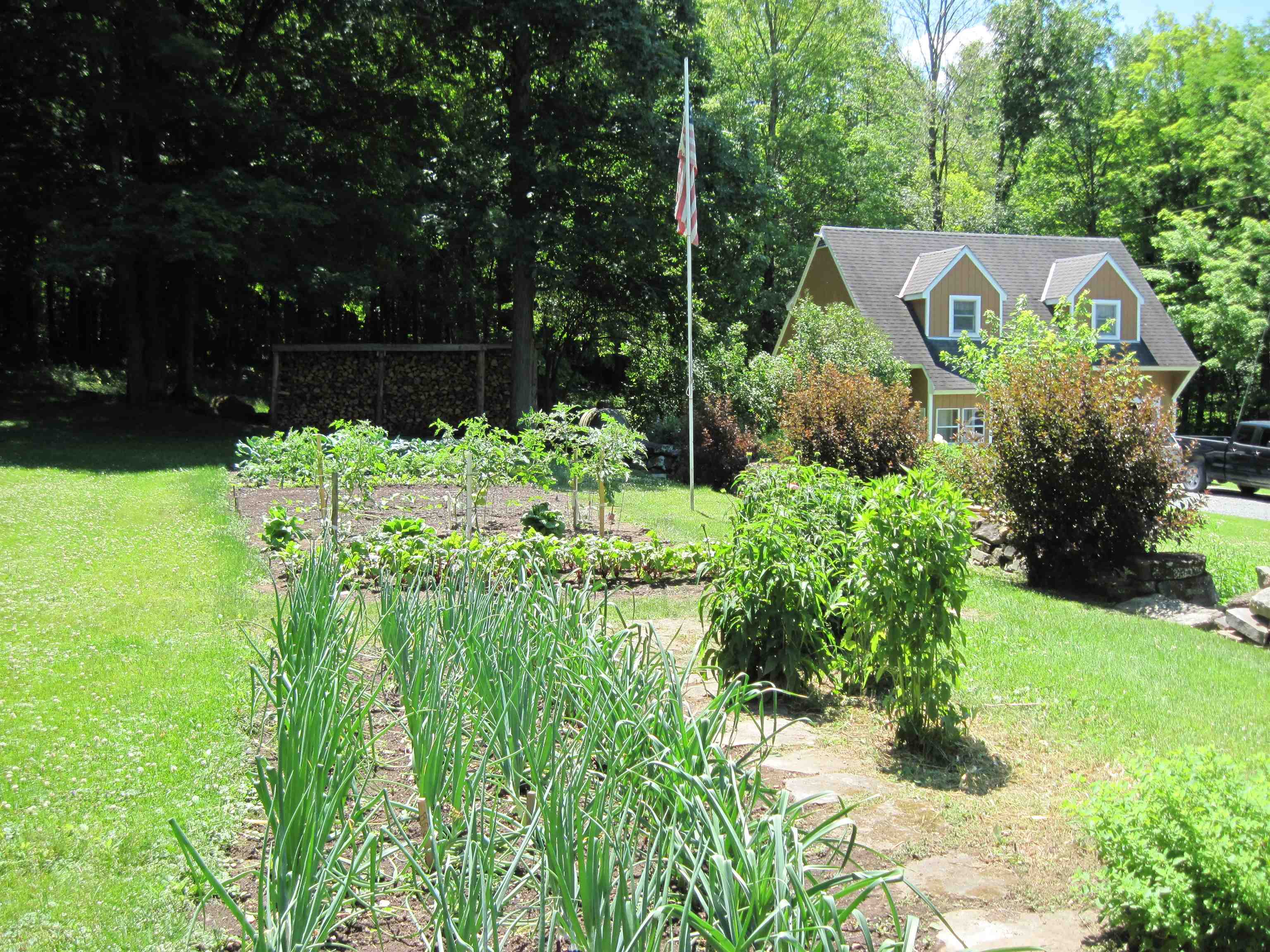 1665 Frazier Hill Road Property Photo 7