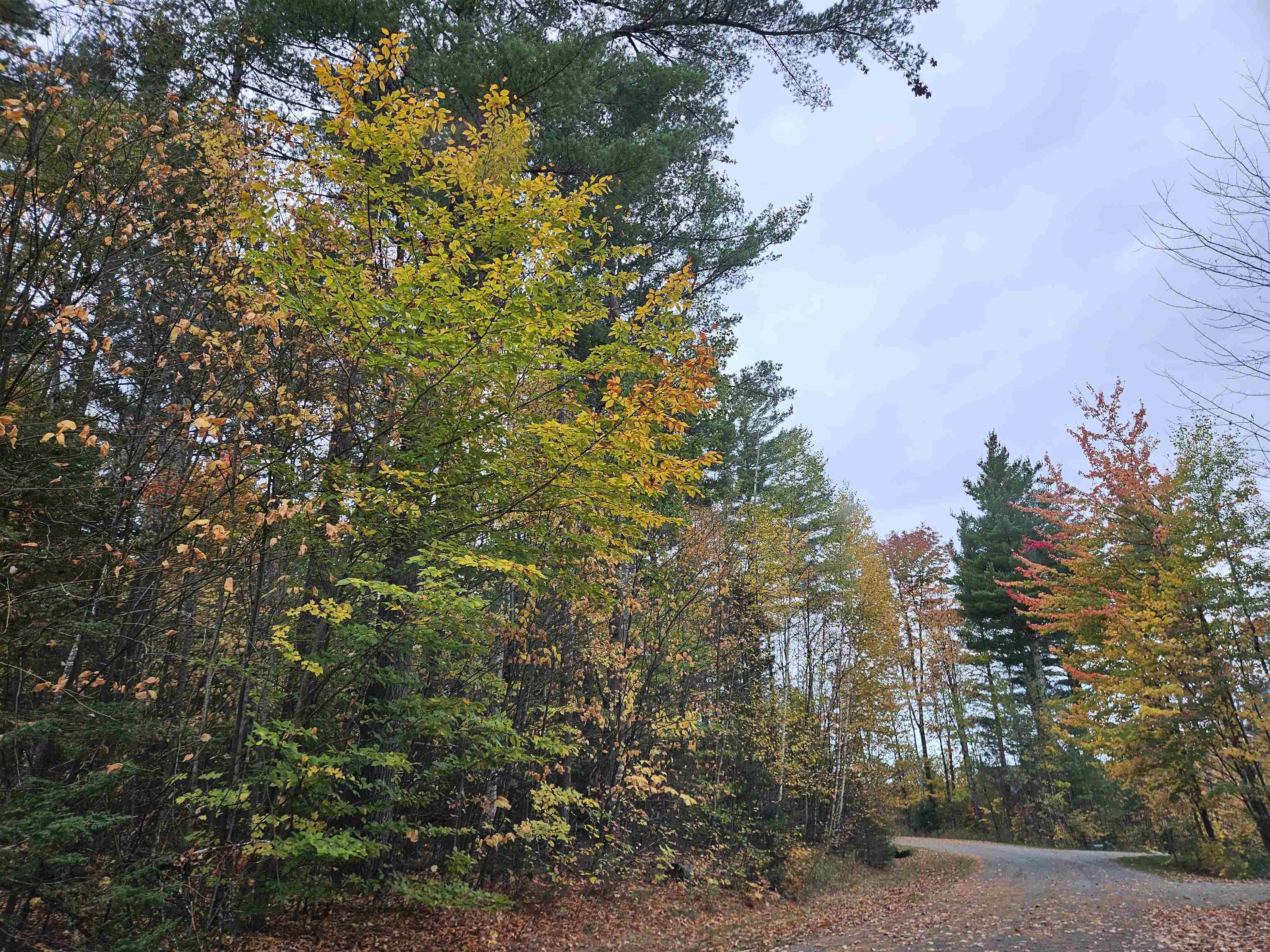 Lot 20 Point Of View Drive Property Photo 1