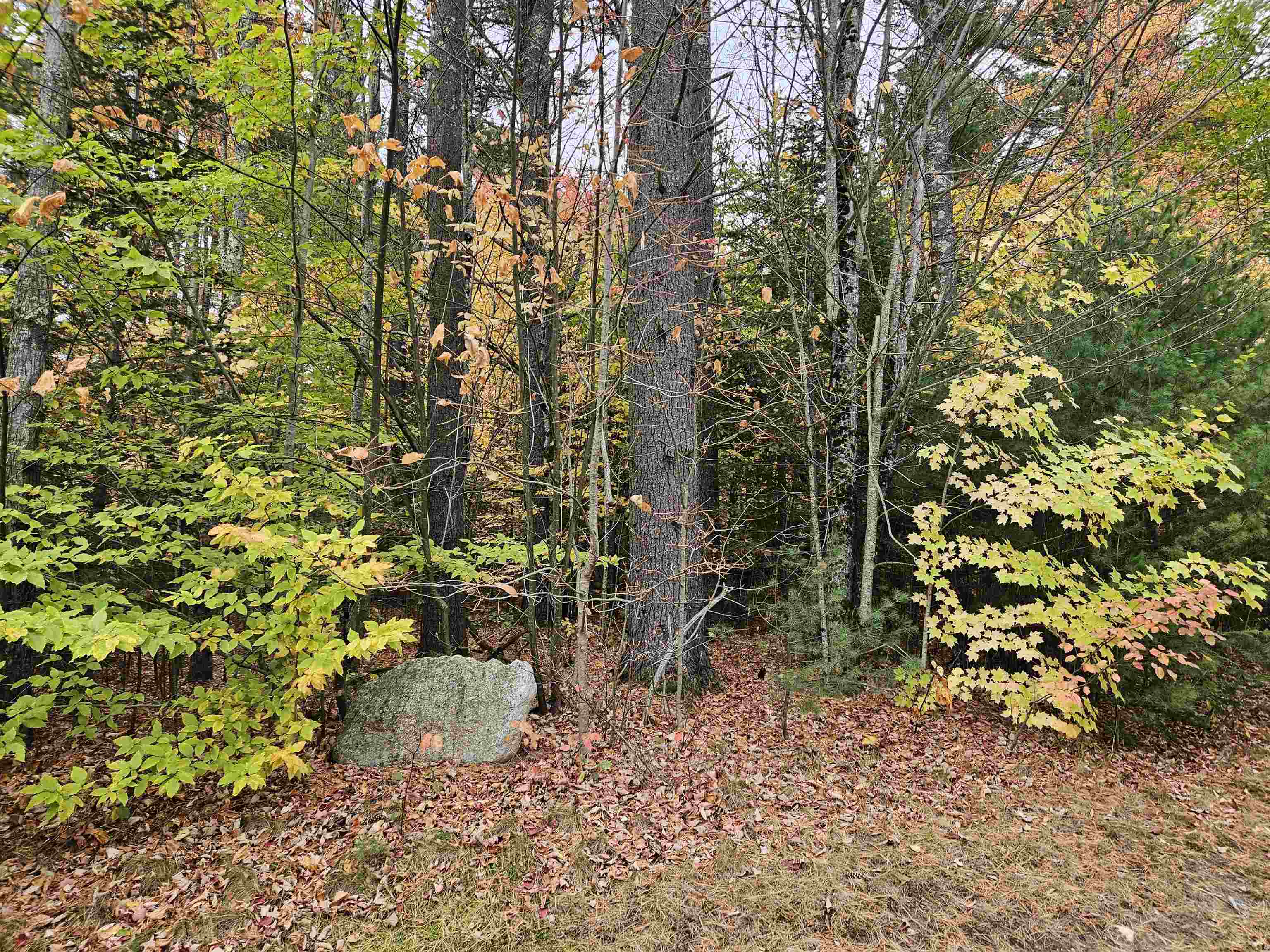 Lot 20 Point Of View Drive Property Photo 3