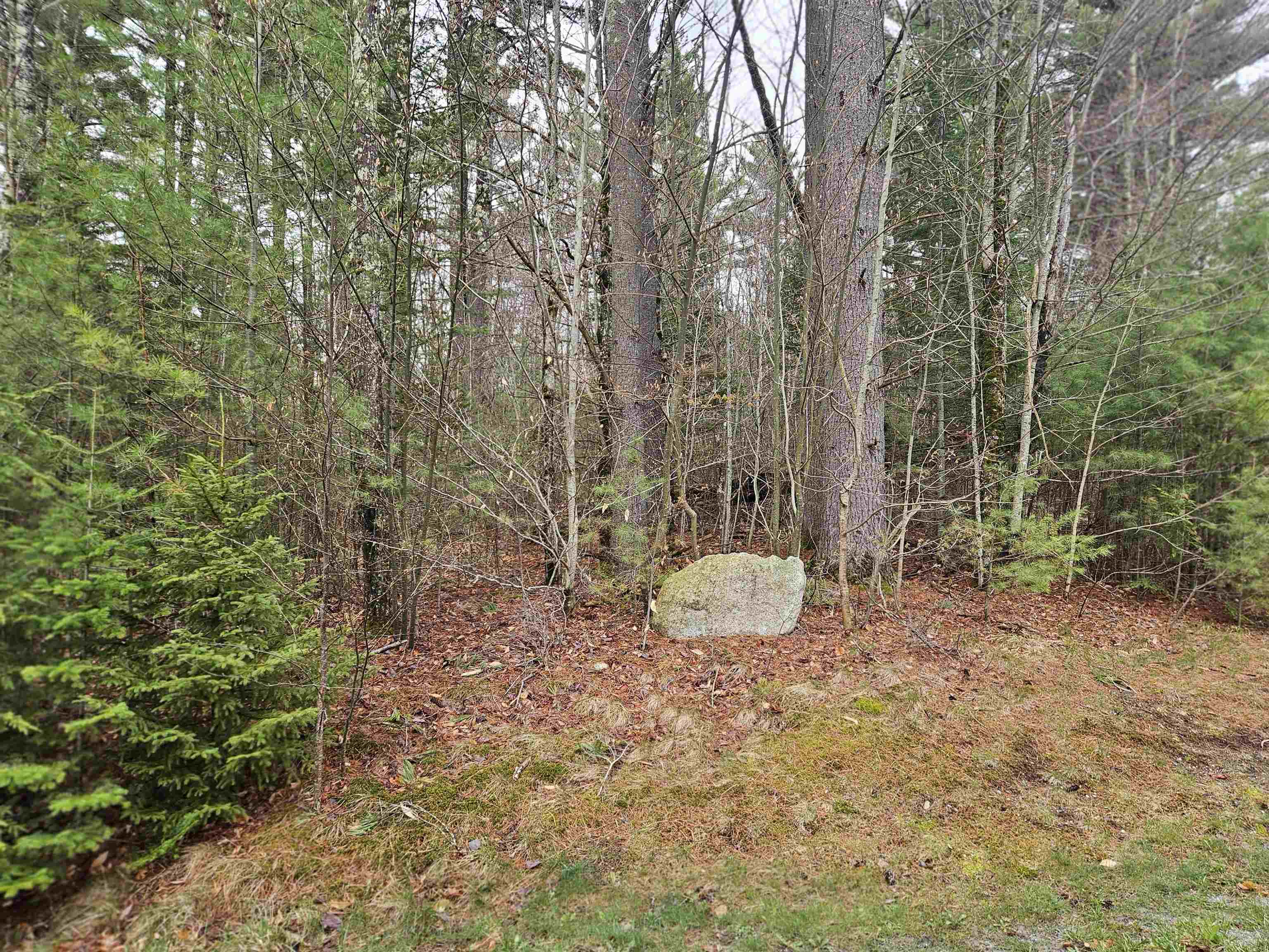Lot 20 Point Of View Drive Property Photo 11