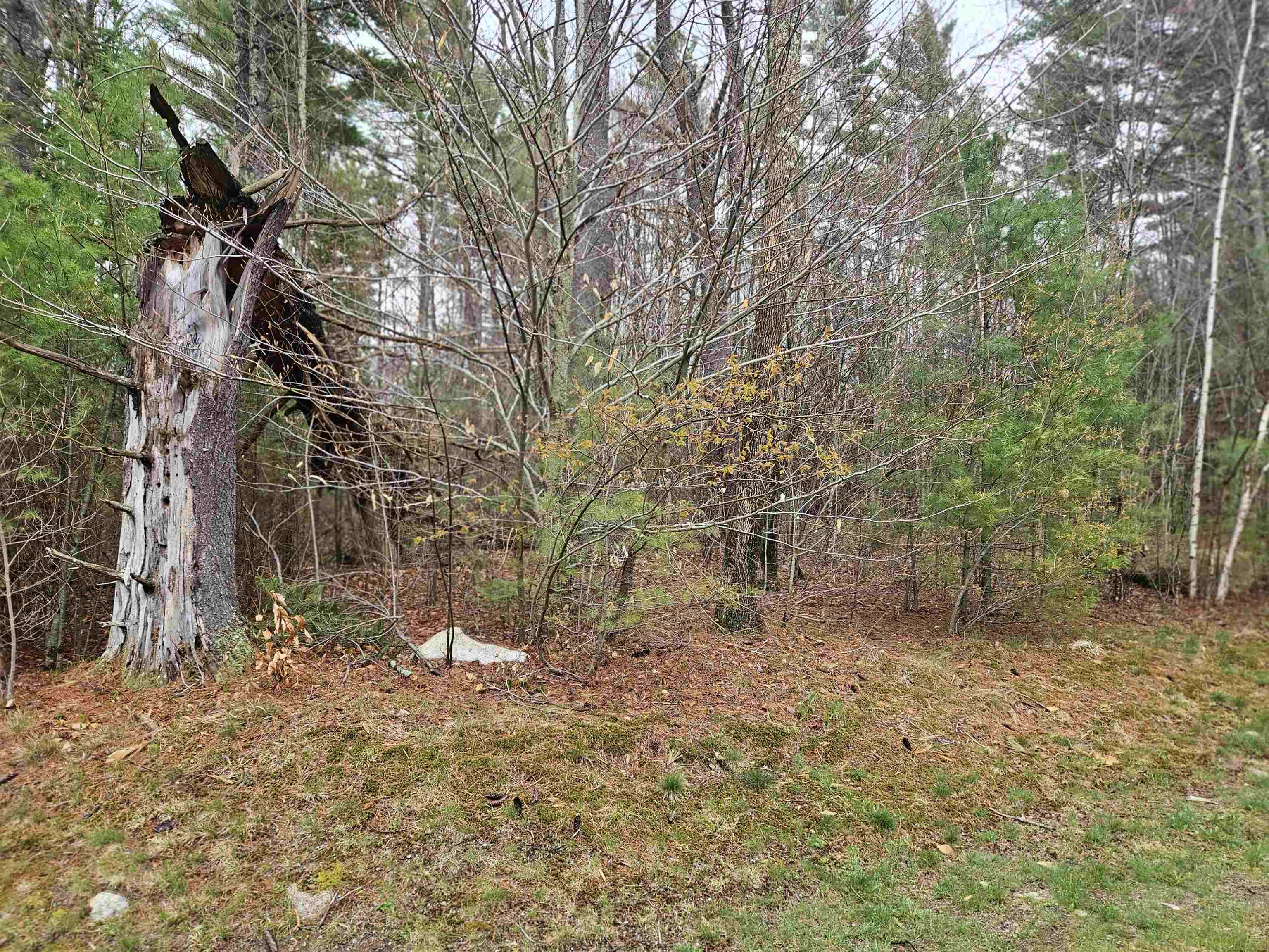 Lot 20 Point Of View Drive Property Photo 12