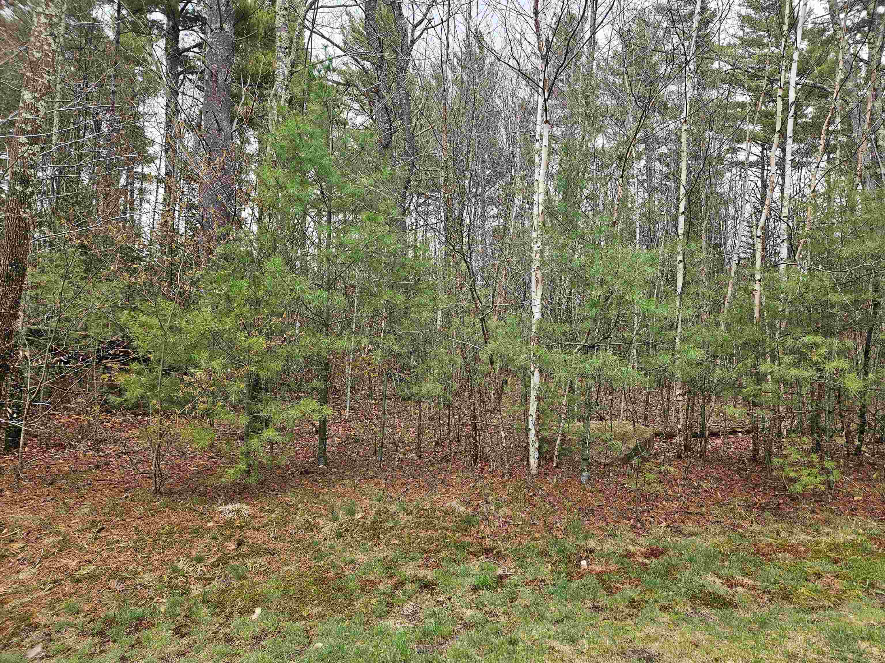 Lot 20 Point Of View Drive Property Photo 13