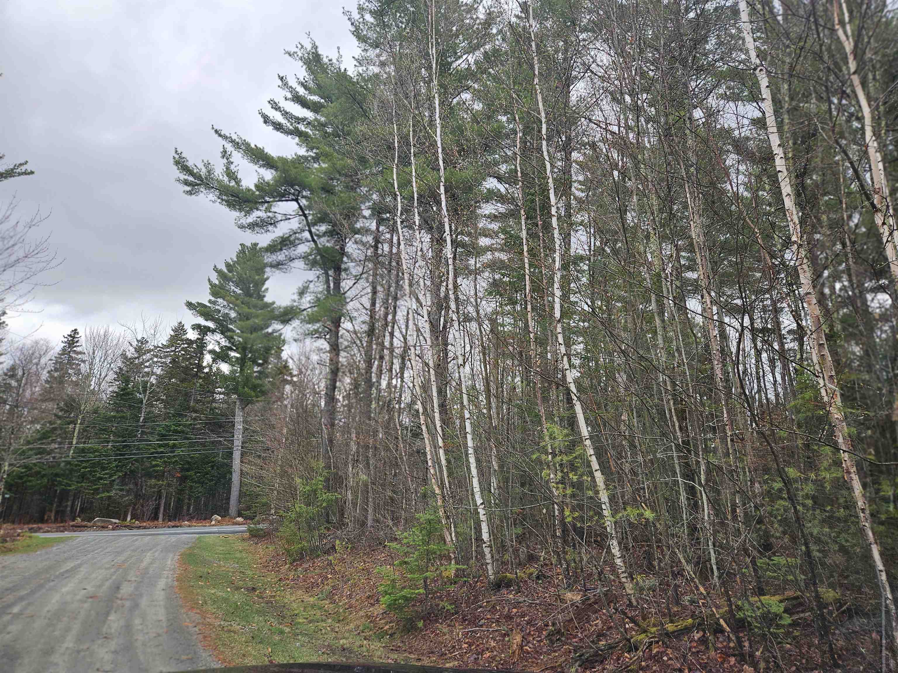Lot 20 Point Of View Drive Property Photo 16