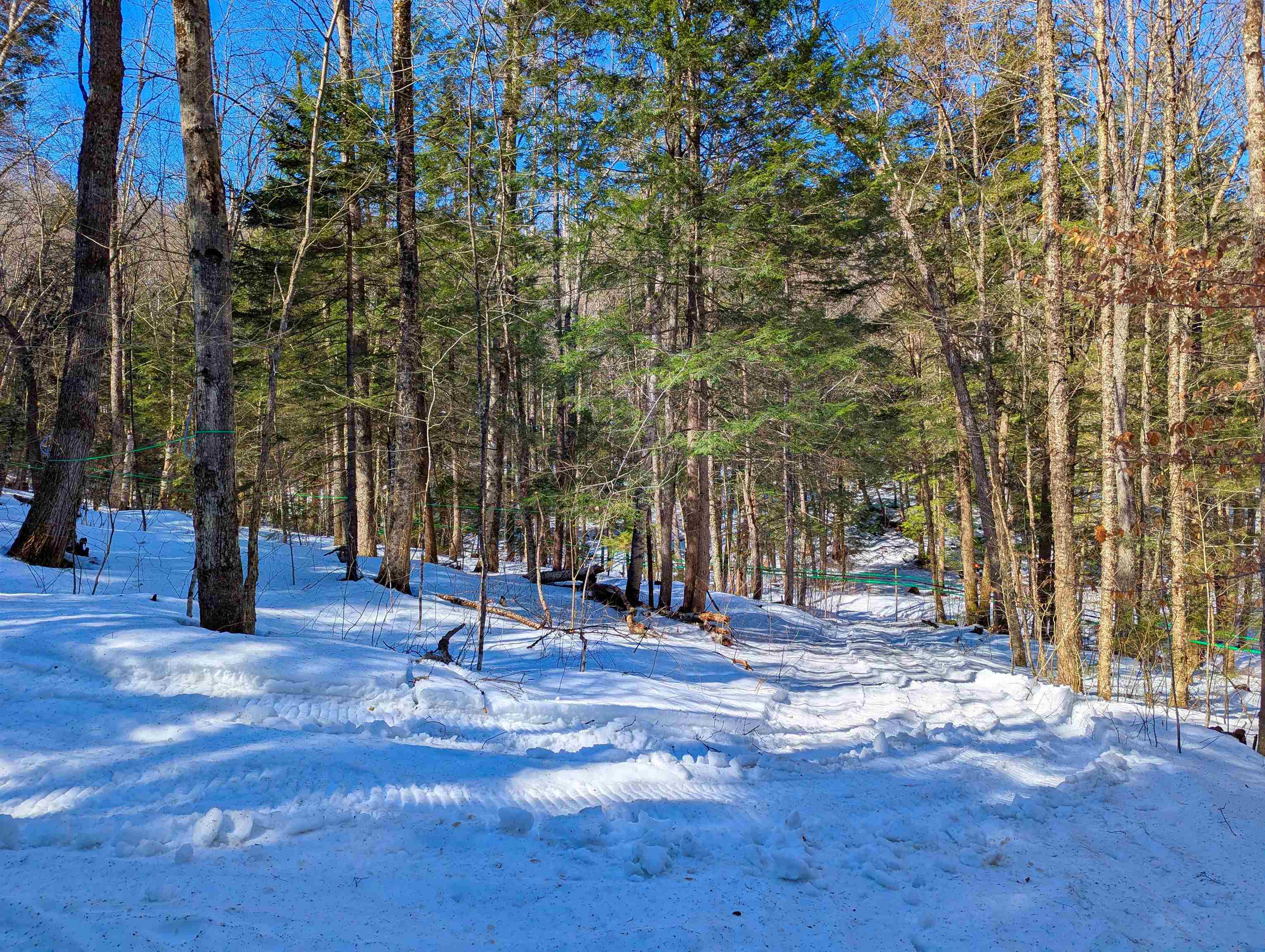 12 Old Route 12 Property Photo 7