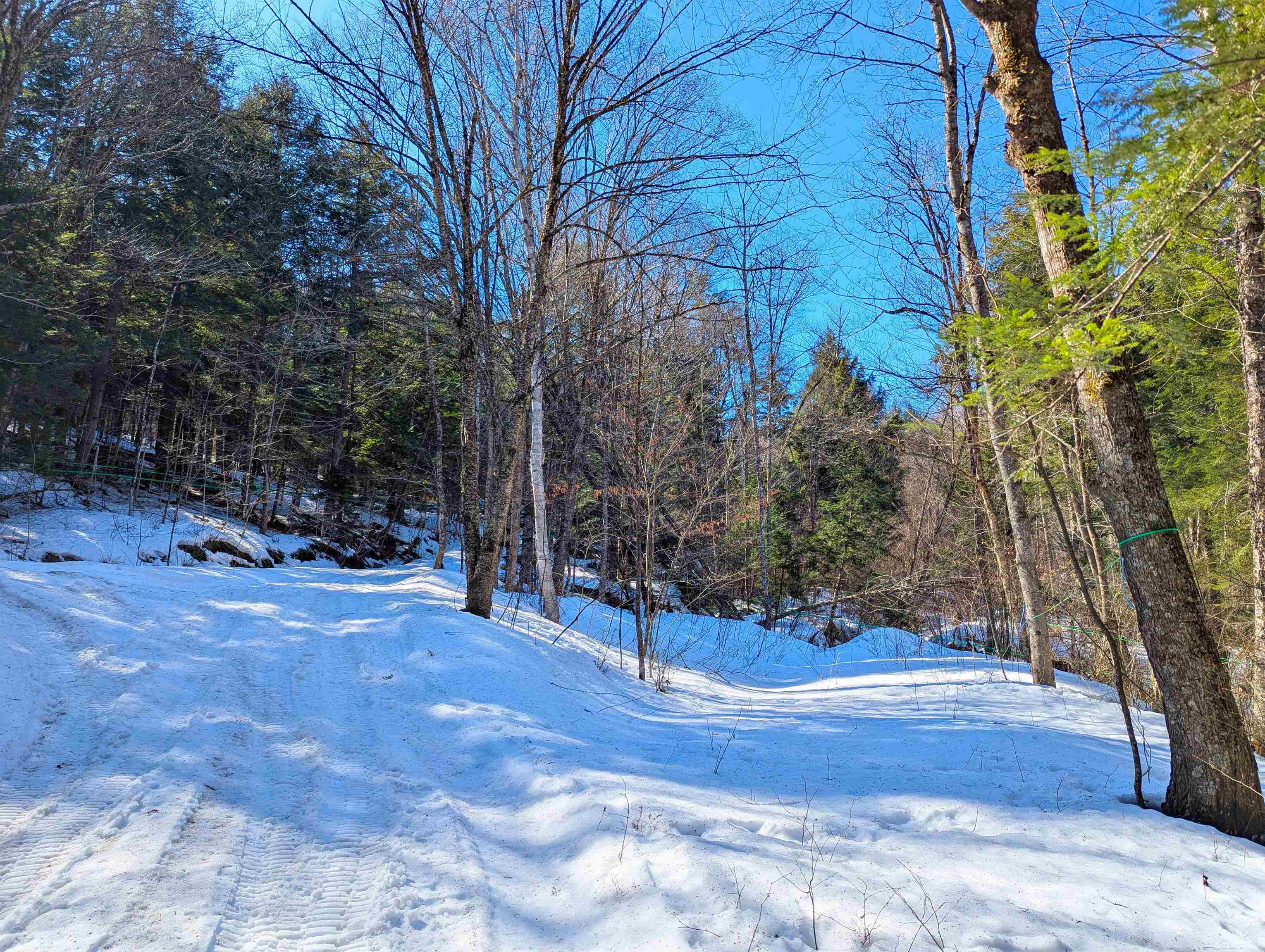 12 Old Route 12 Property Photo 8