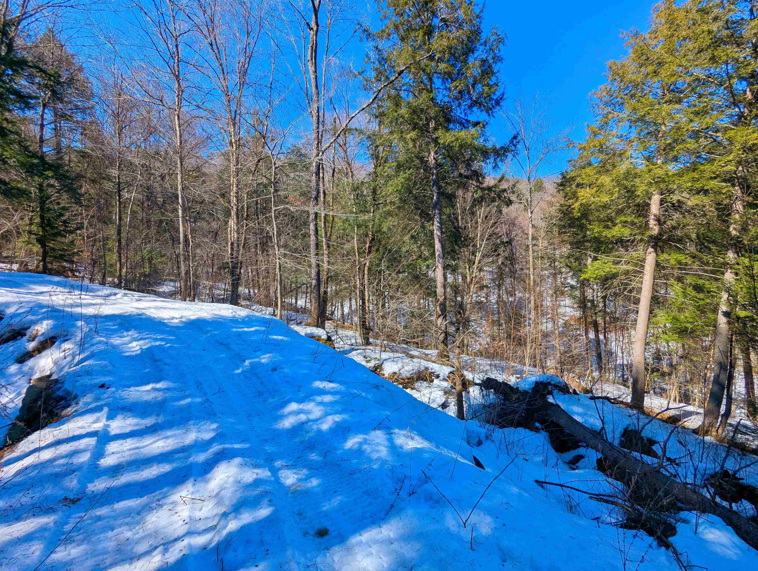 12 Old Route 12 Property Photo 10