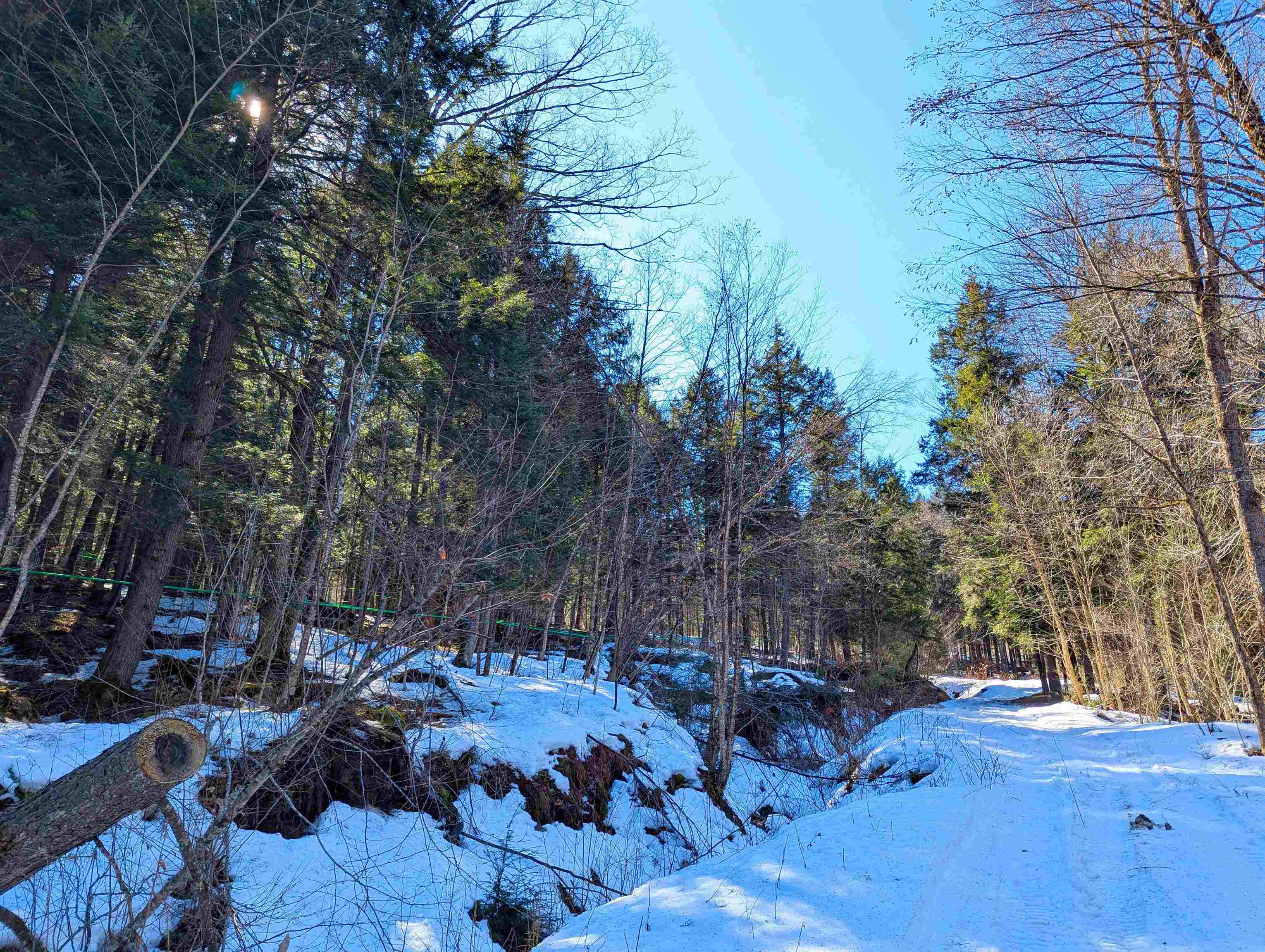 12 Old Route 12 Property Photo 11
