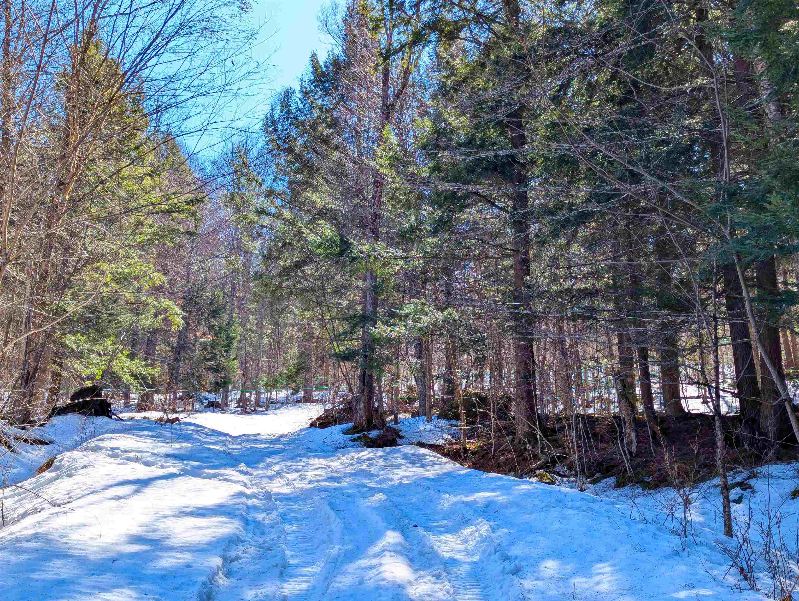12 Old Route 12 Property Photo 12