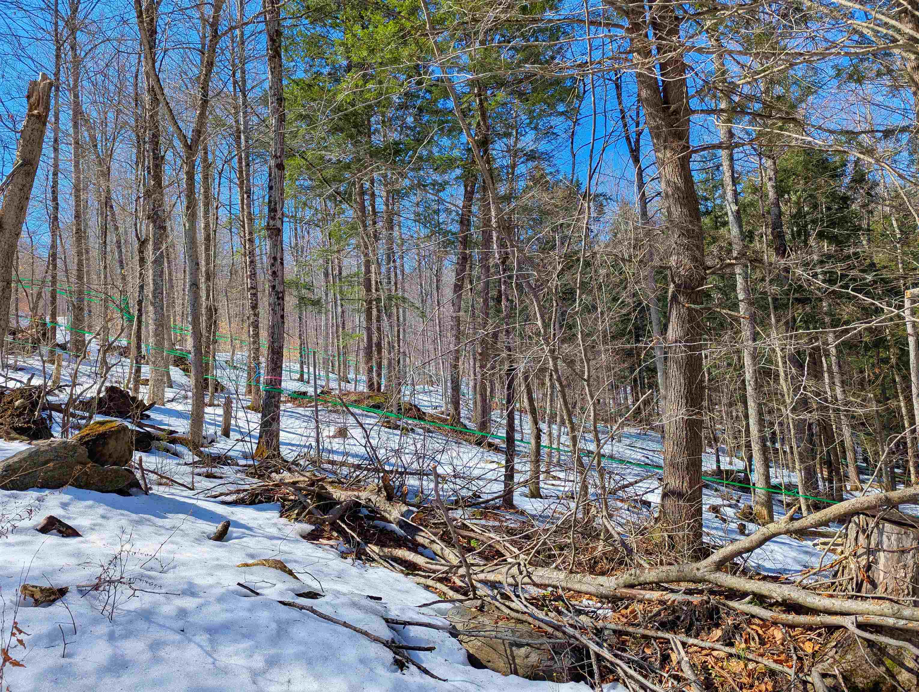 12 Old Route 12 Property Photo 13