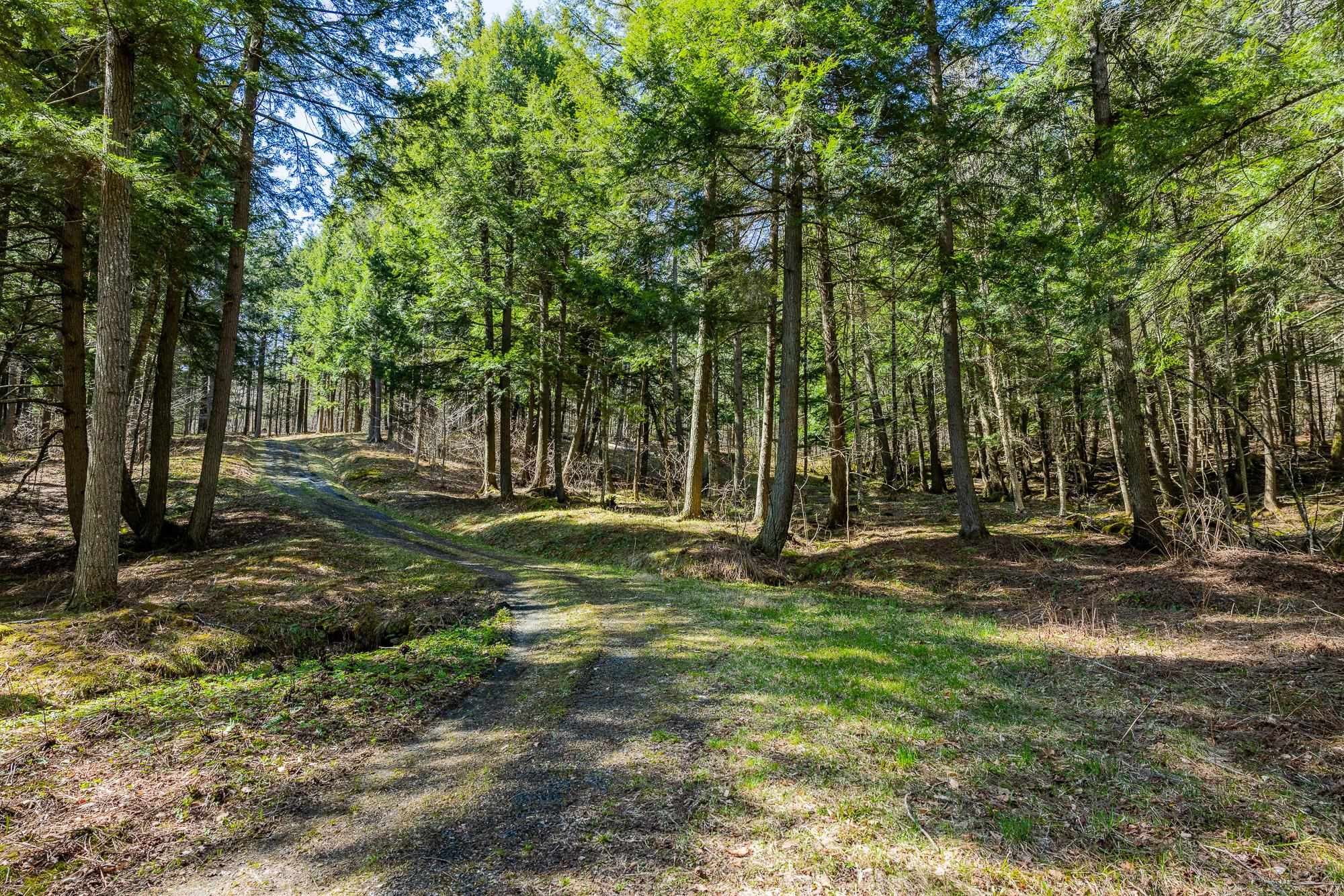 334 Log Cabin Drive Property Photo 1