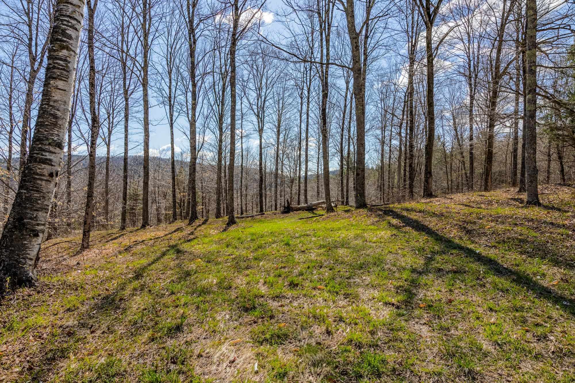 334 Log Cabin Drive Property Photo 3