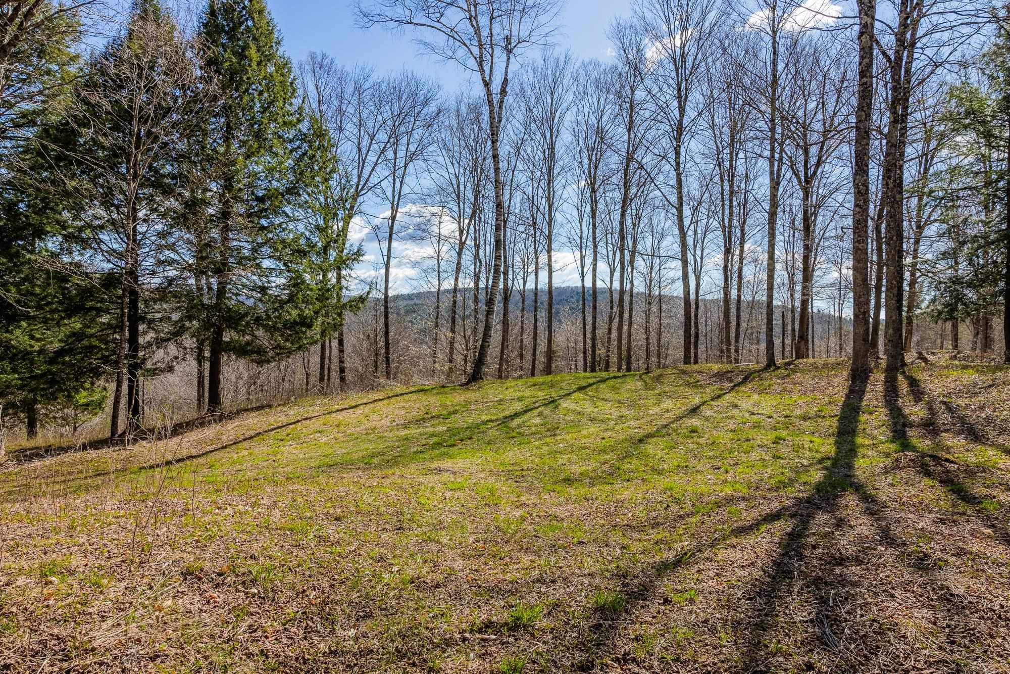 334 Log Cabin Drive Property Photo 4