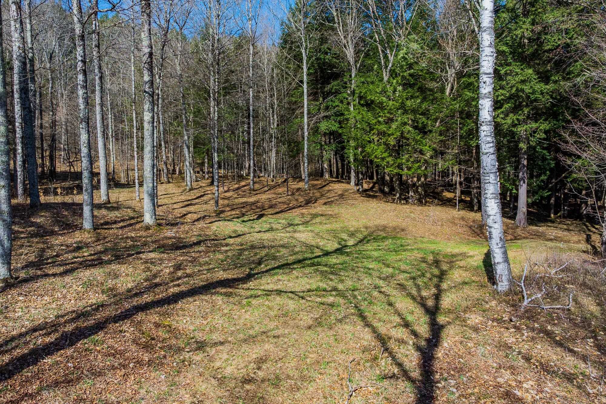 334 Log Cabin Drive Property Photo 5
