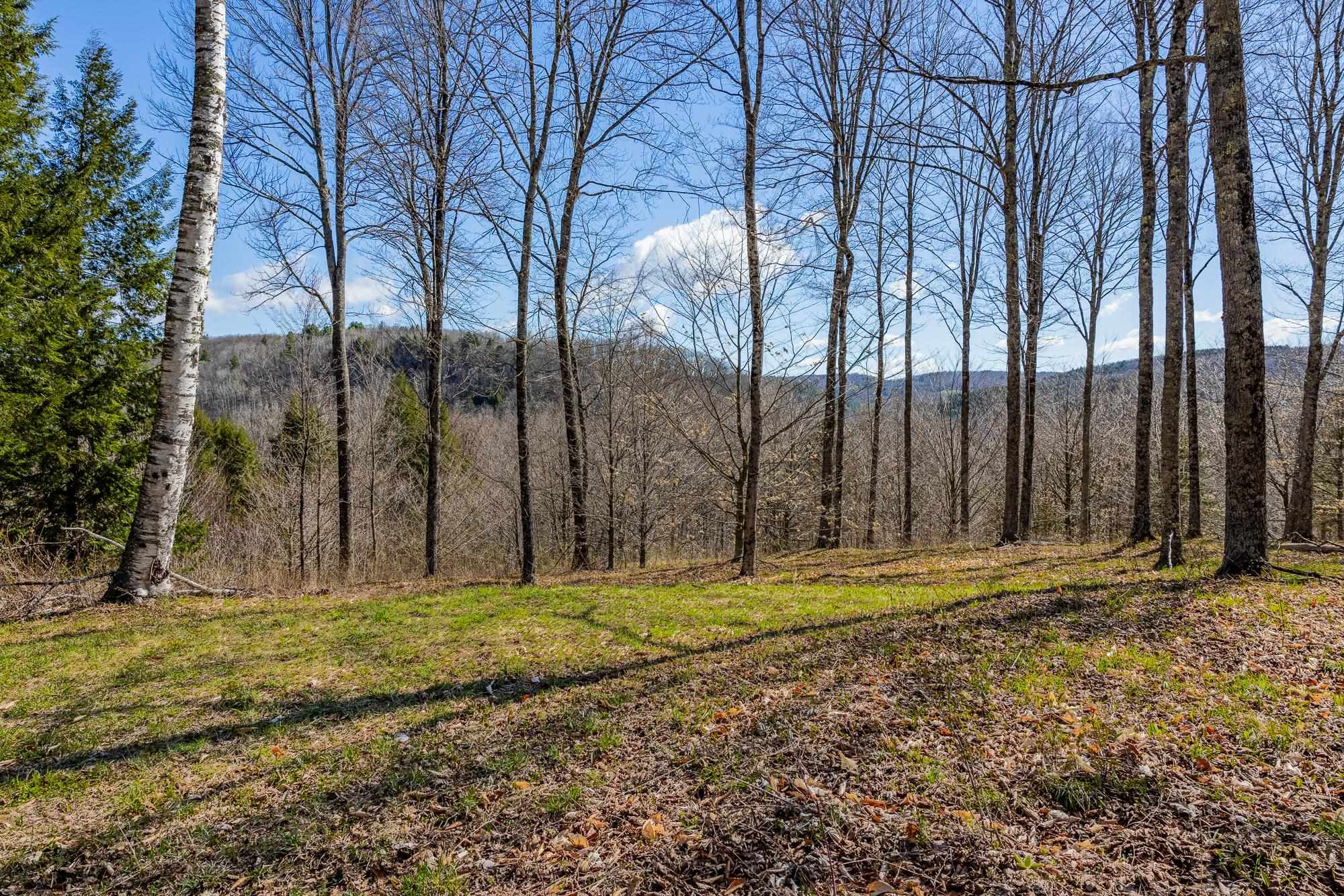 334 Log Cabin Drive Property Photo 10