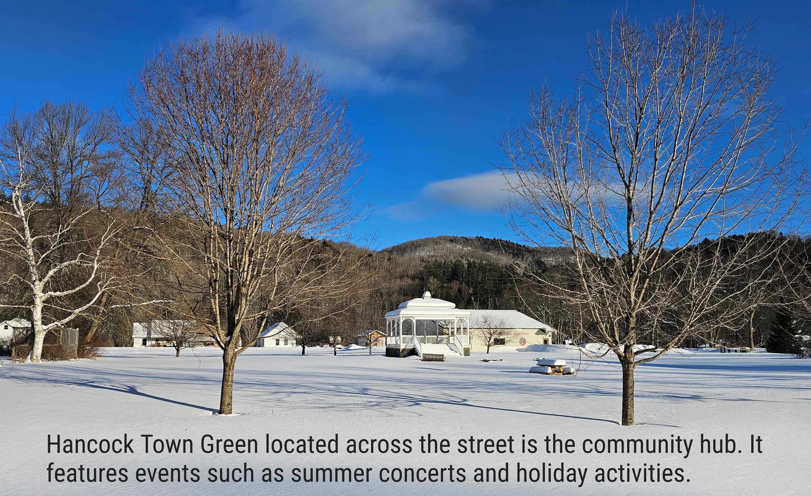 919 A Route 100 Property Photo 45