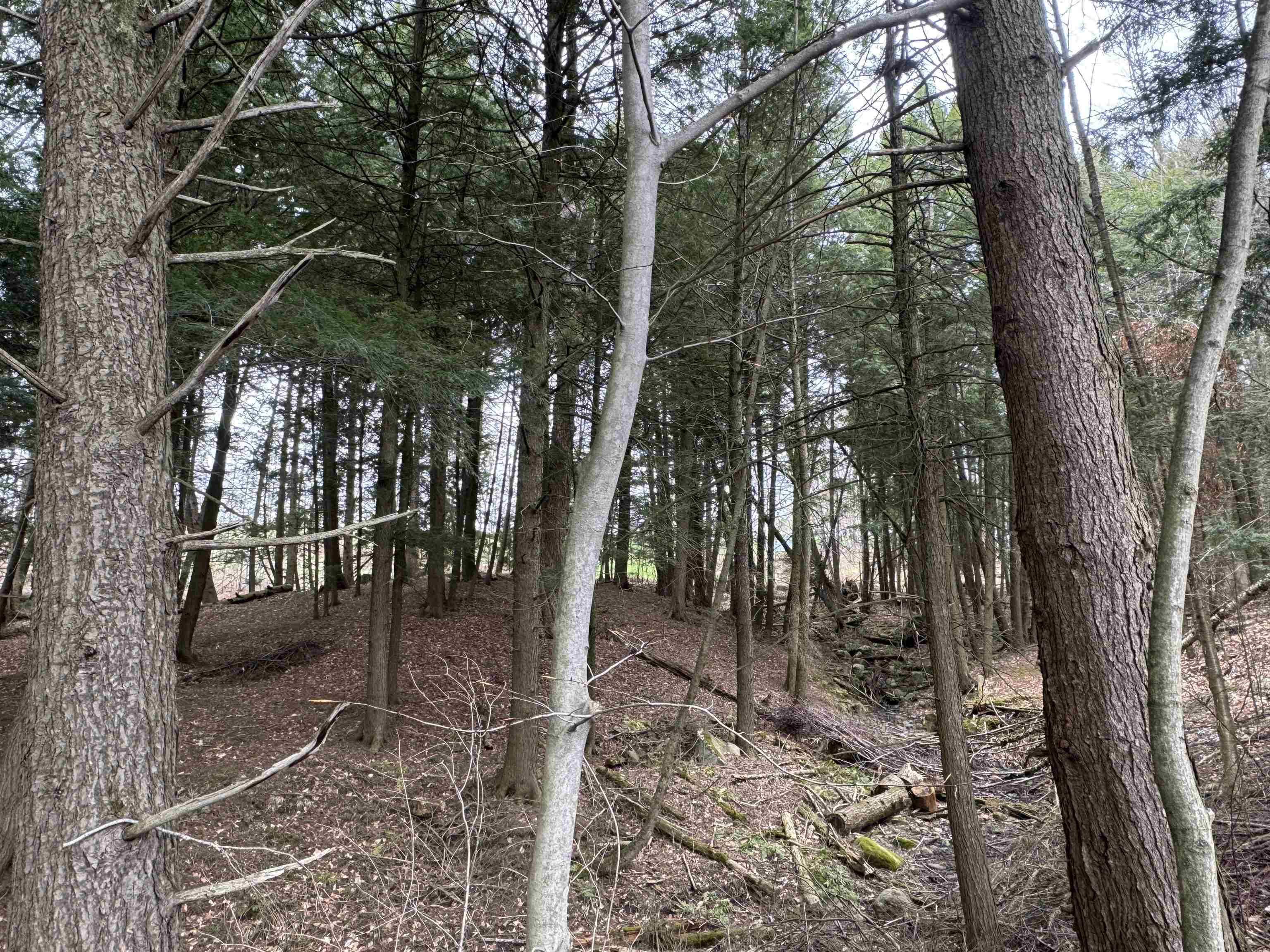 69 Missionary Acres Property Photo 29