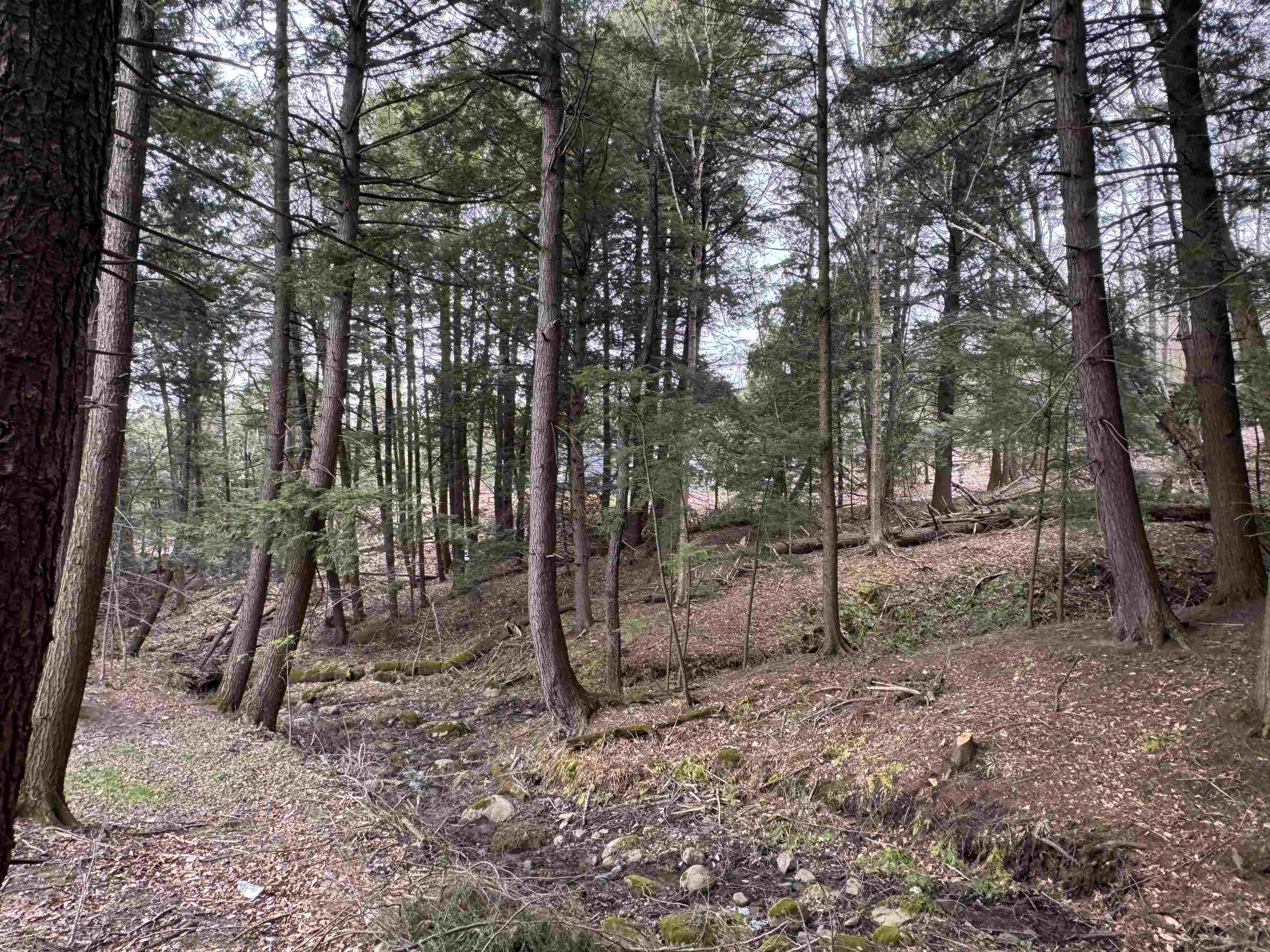69 Missionary Acres Property Photo 30