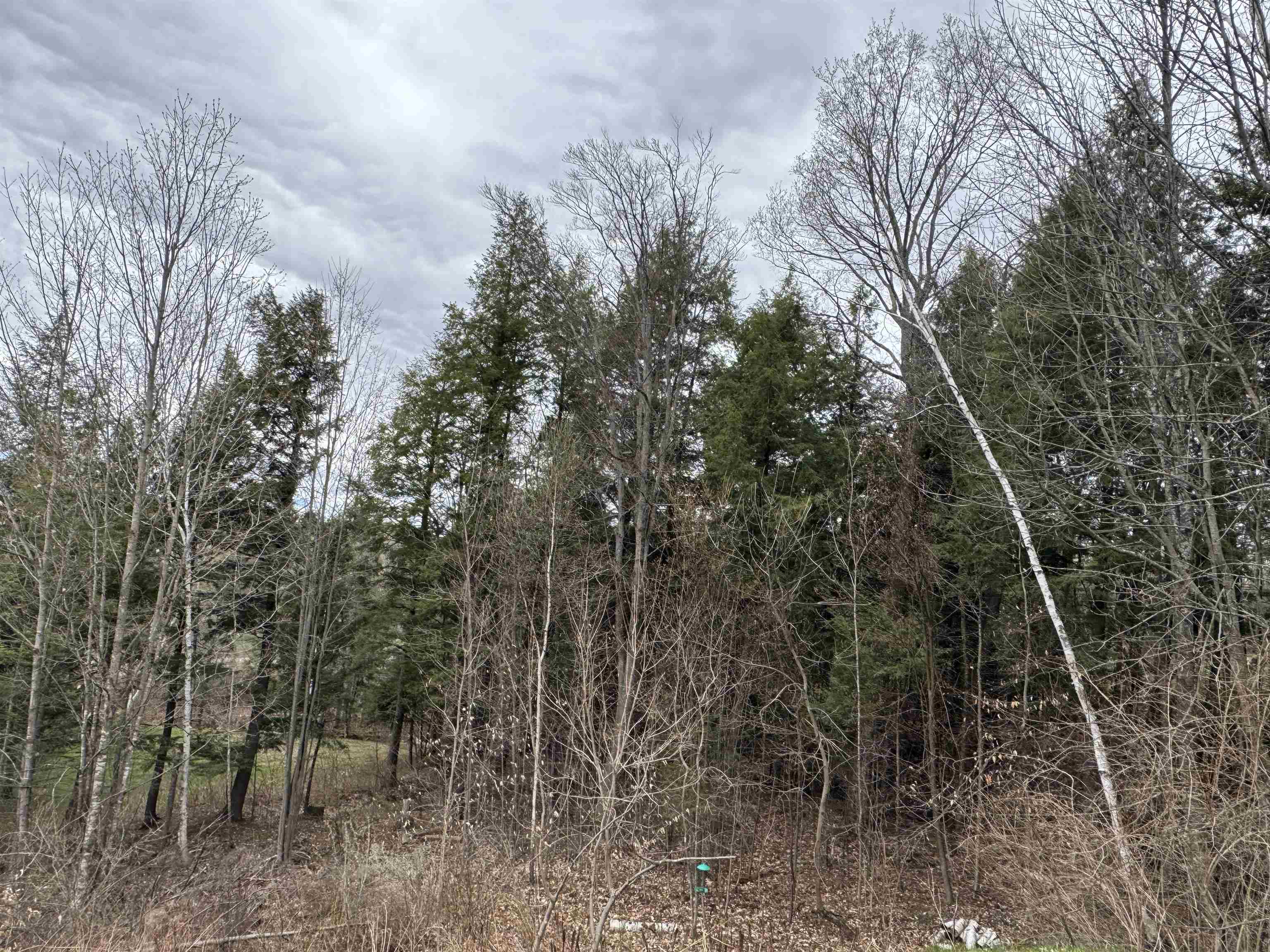 69 Missionary Acres Property Photo 31