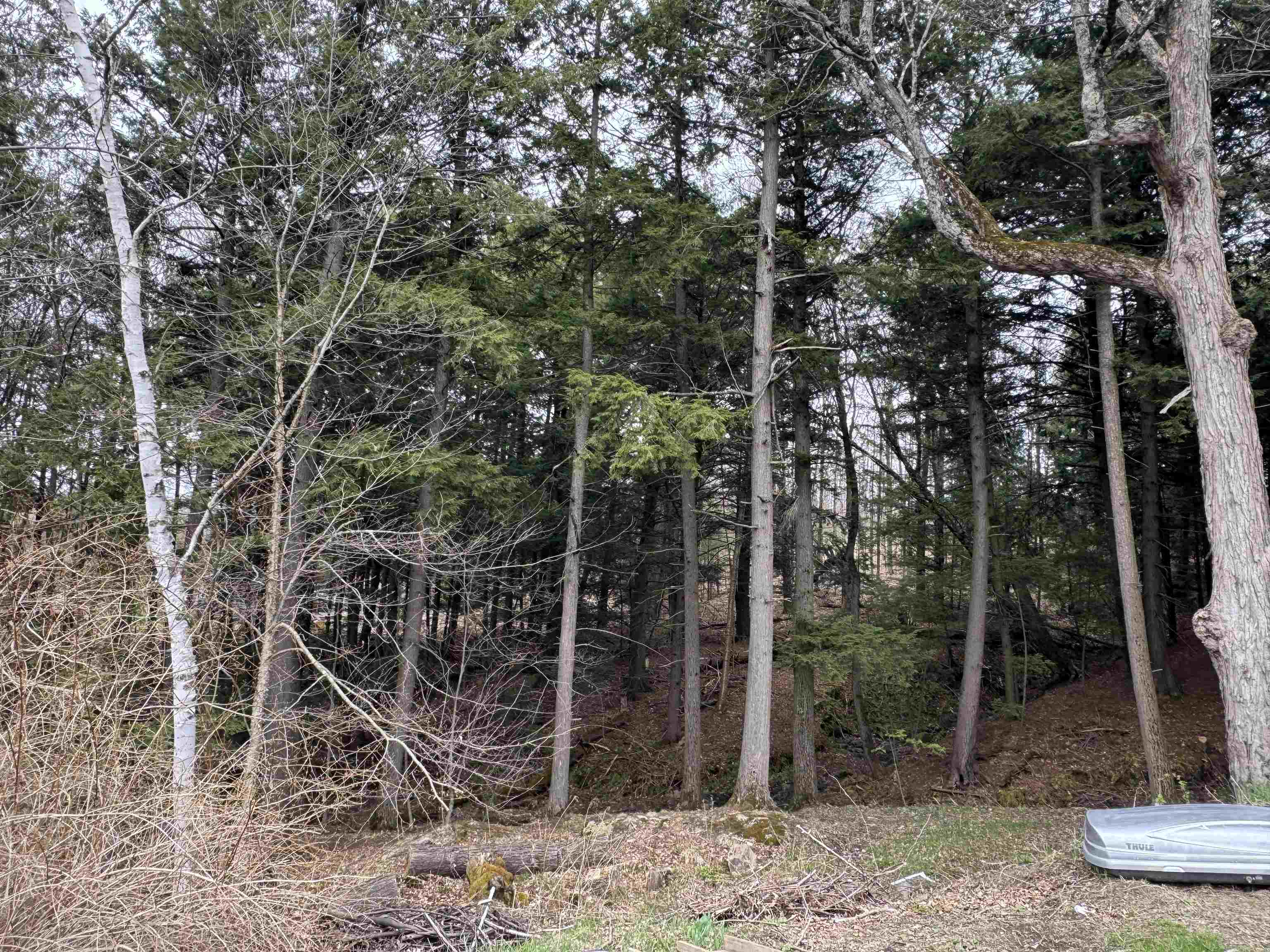 69 Missionary Acres Property Photo 32