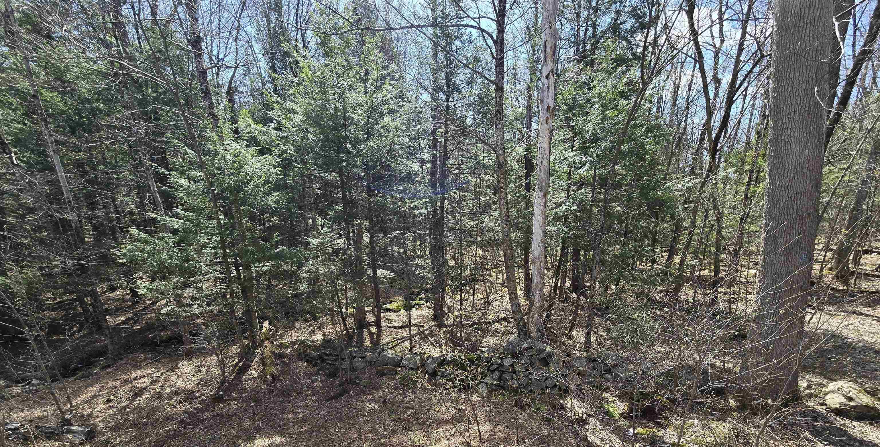 0 Jacobs Ladder Road Property Photo 1
