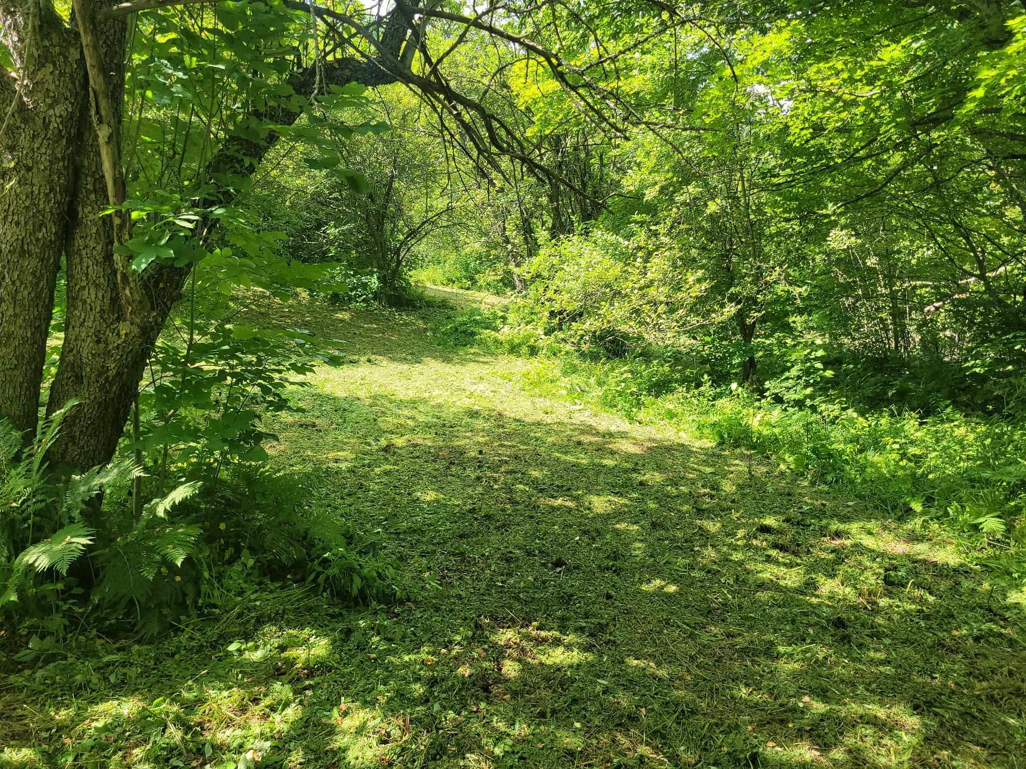287 Meader Road Property Photo 12