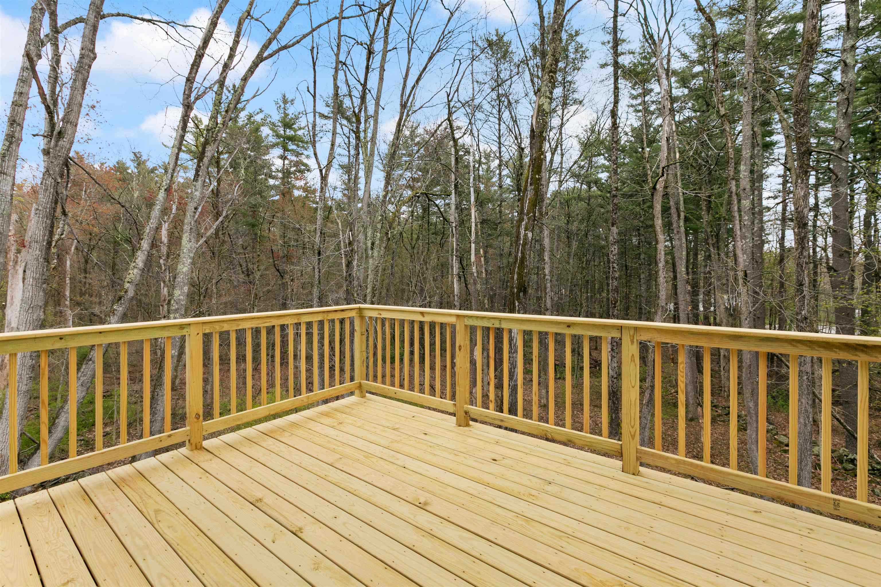 1152 Bridge Street Property Photo 39