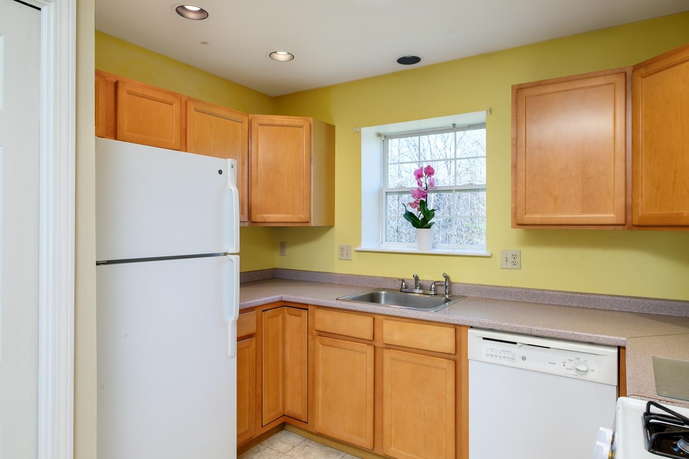 3 Tampa Drive Property Photo 9