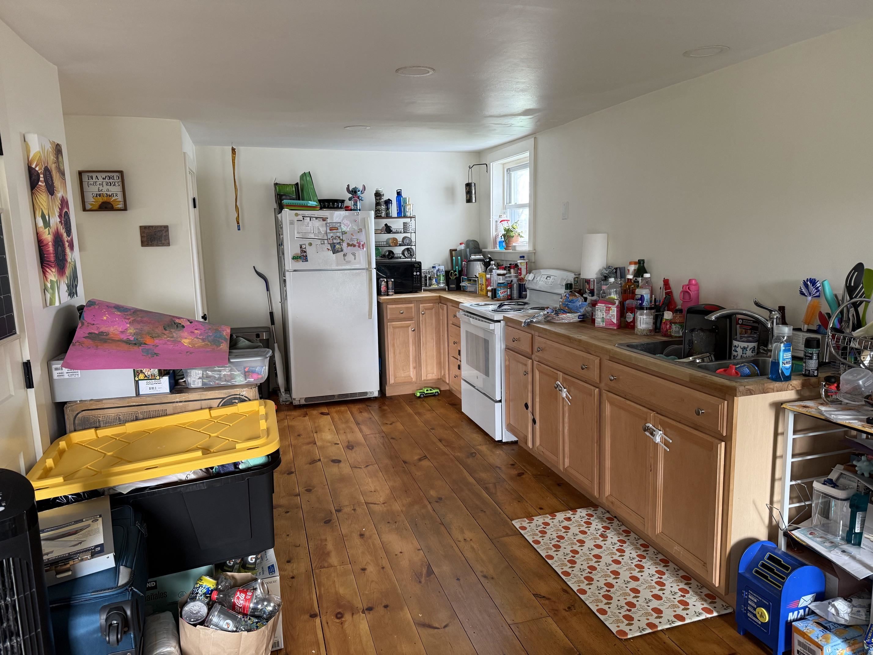474 Dog Team Road Property Photo 18