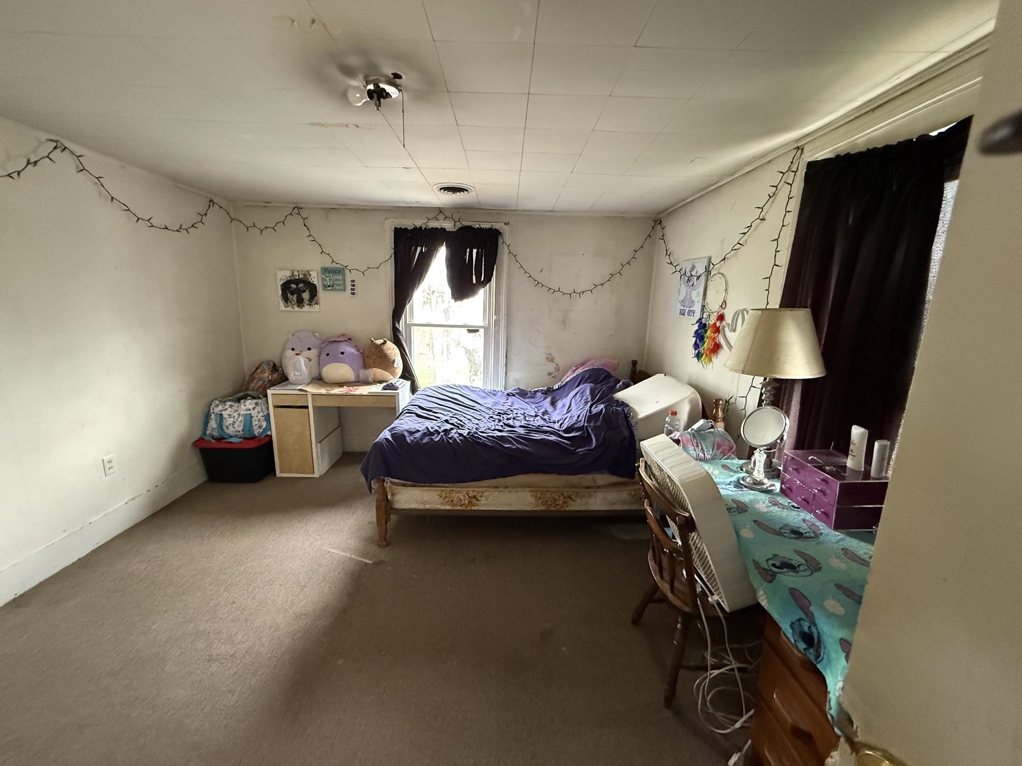 474 Dog Team Road Property Photo 30