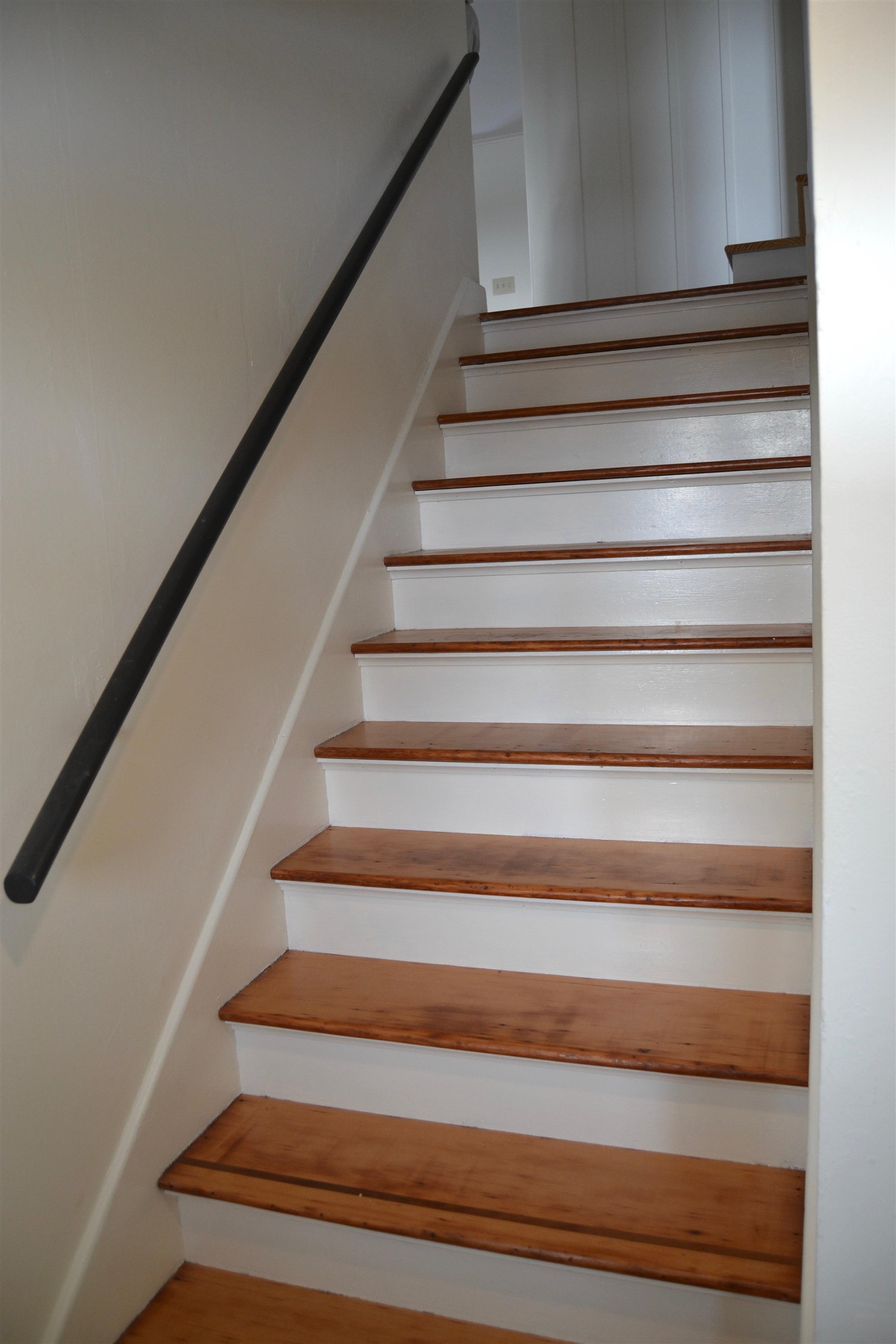 474 Dog Team Road Property Photo 35