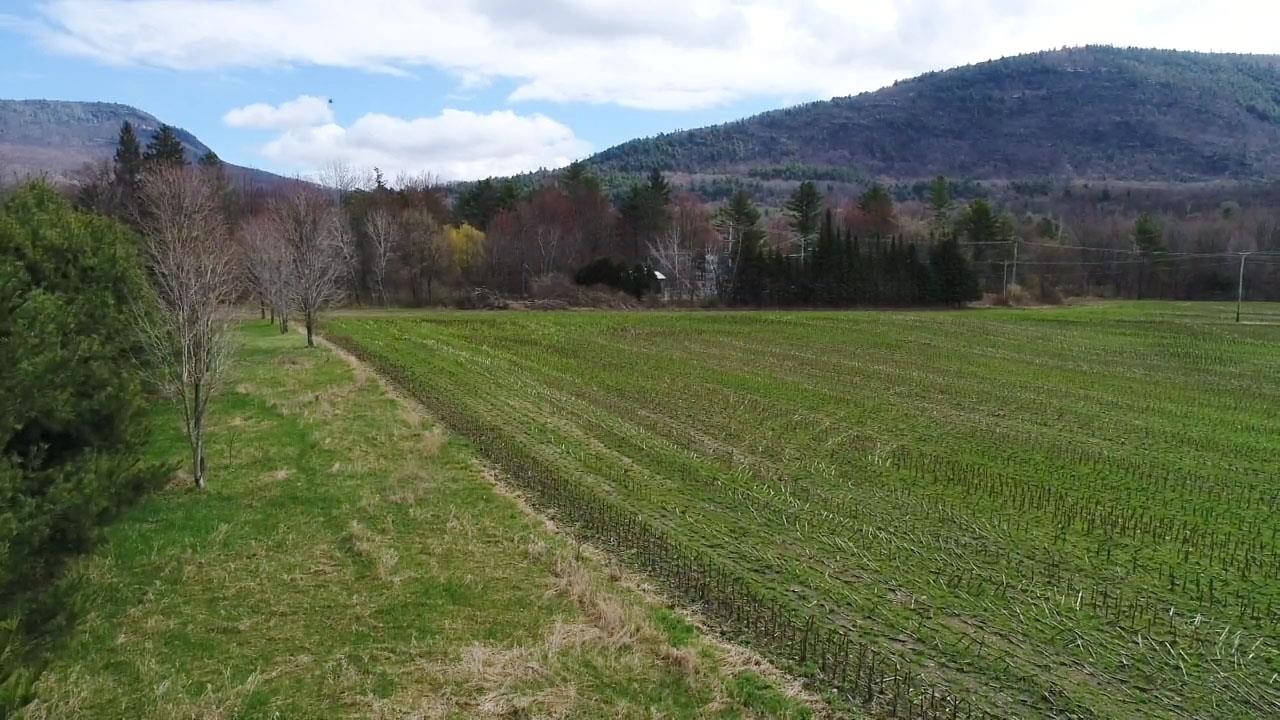 Tbd Hewitt Road Property Photo 1