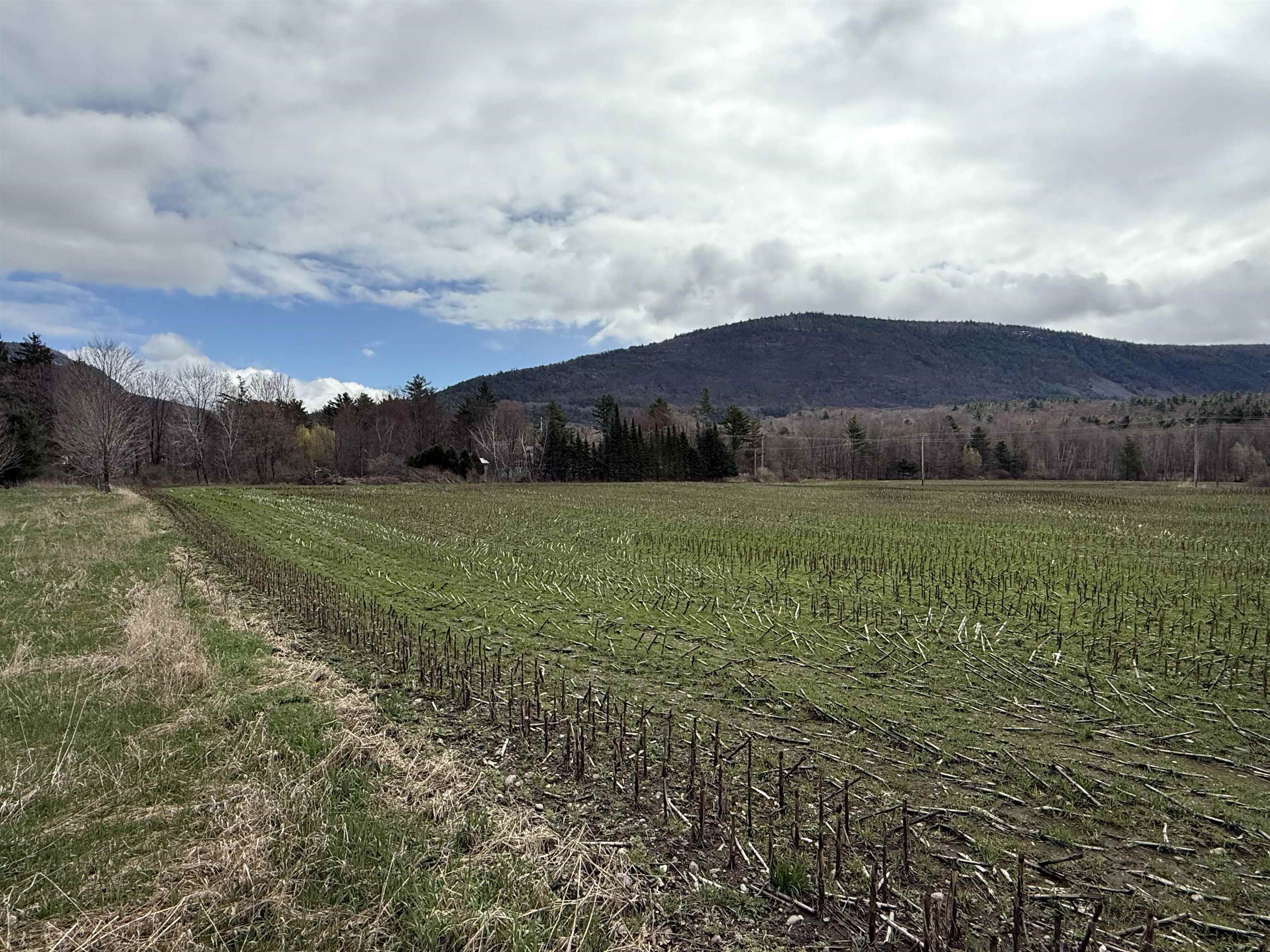 Tbd Hewitt Road Property Photo 3
